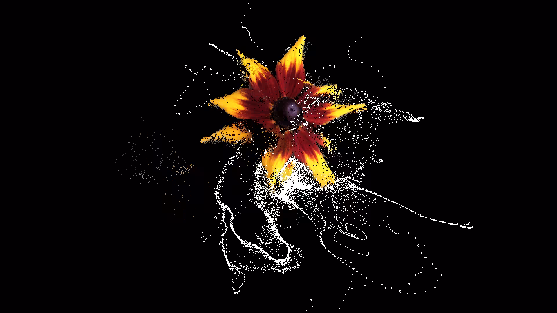 Generative Flower 2
