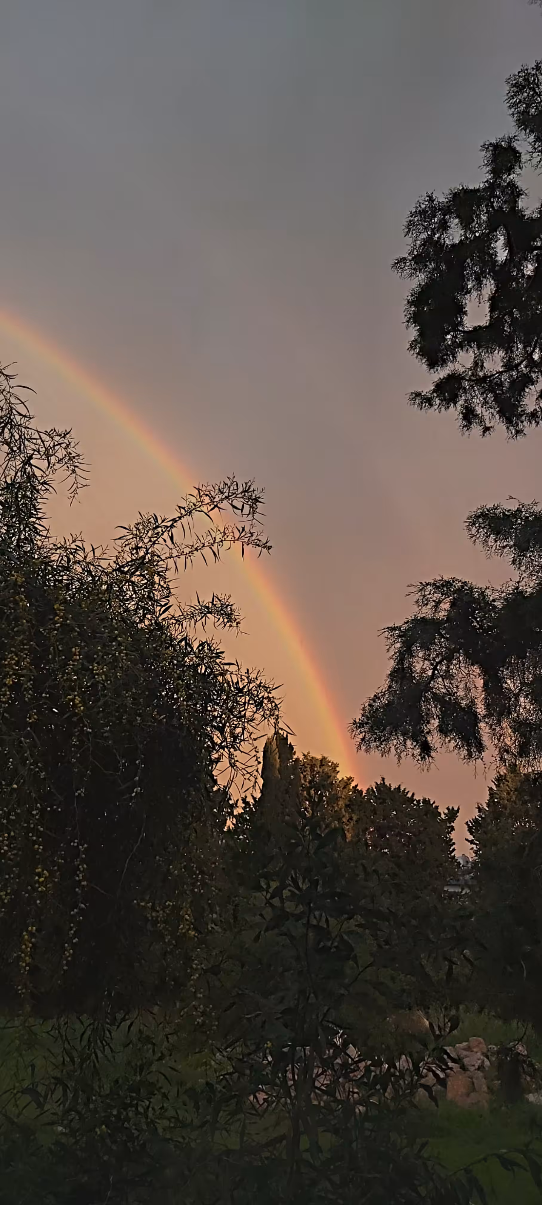 celestial promise