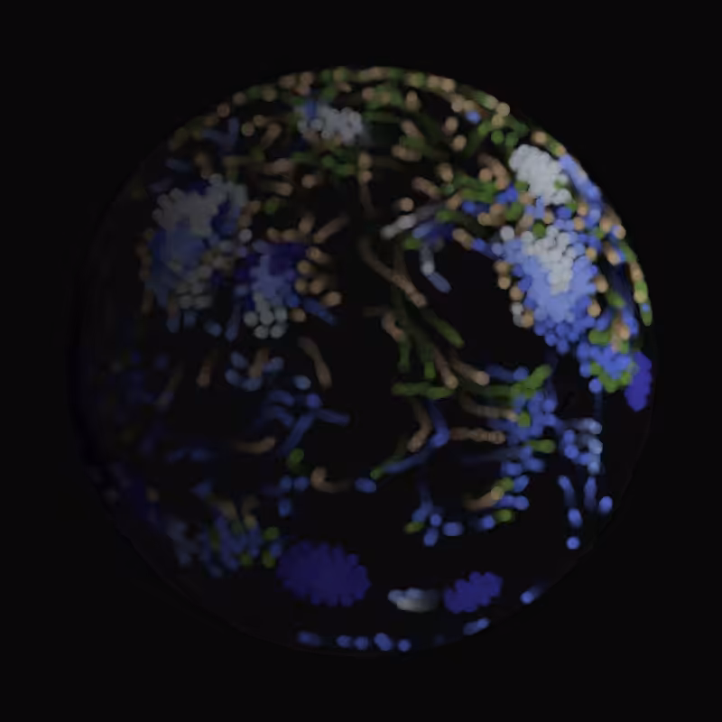 Earth #244