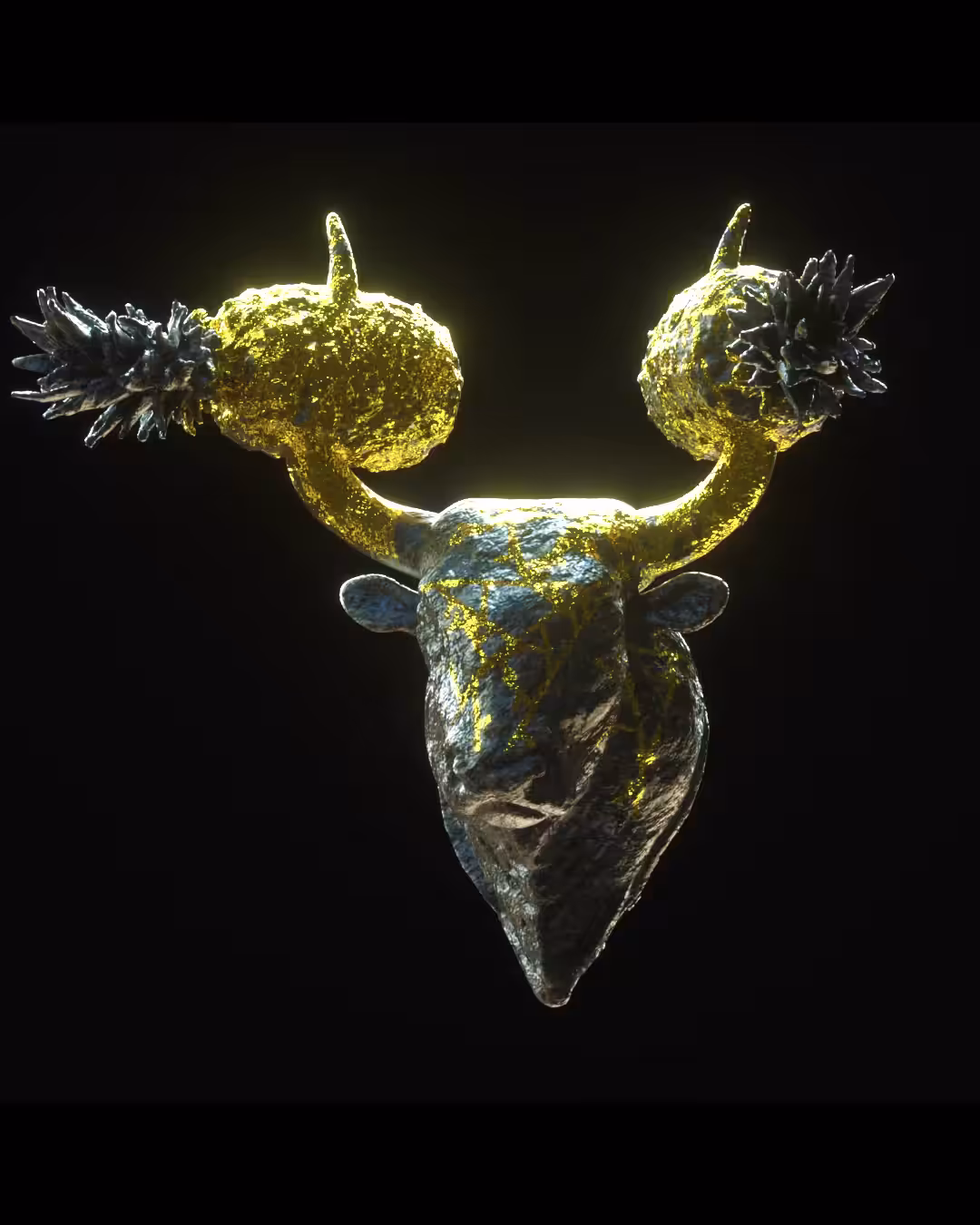 feeling bullish