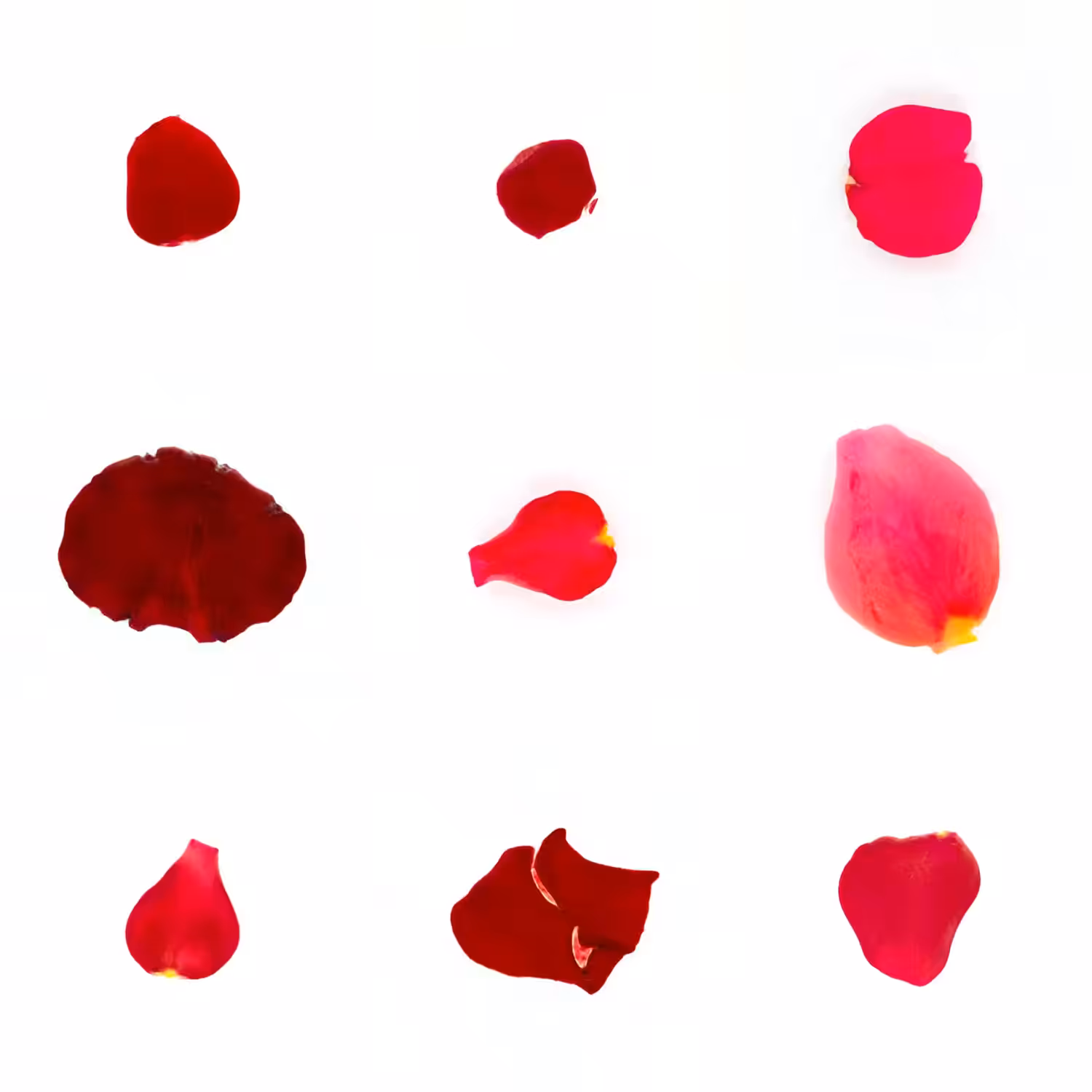 Infinite Petals 3x3#3697