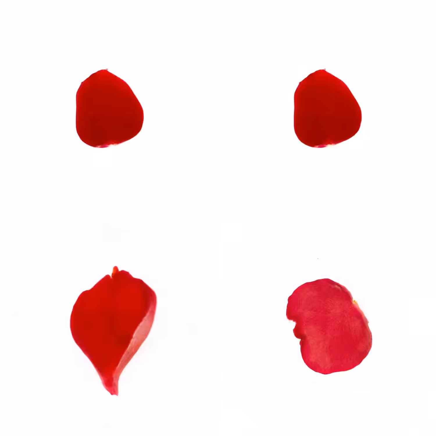 Infinite Petals 2x2#3950