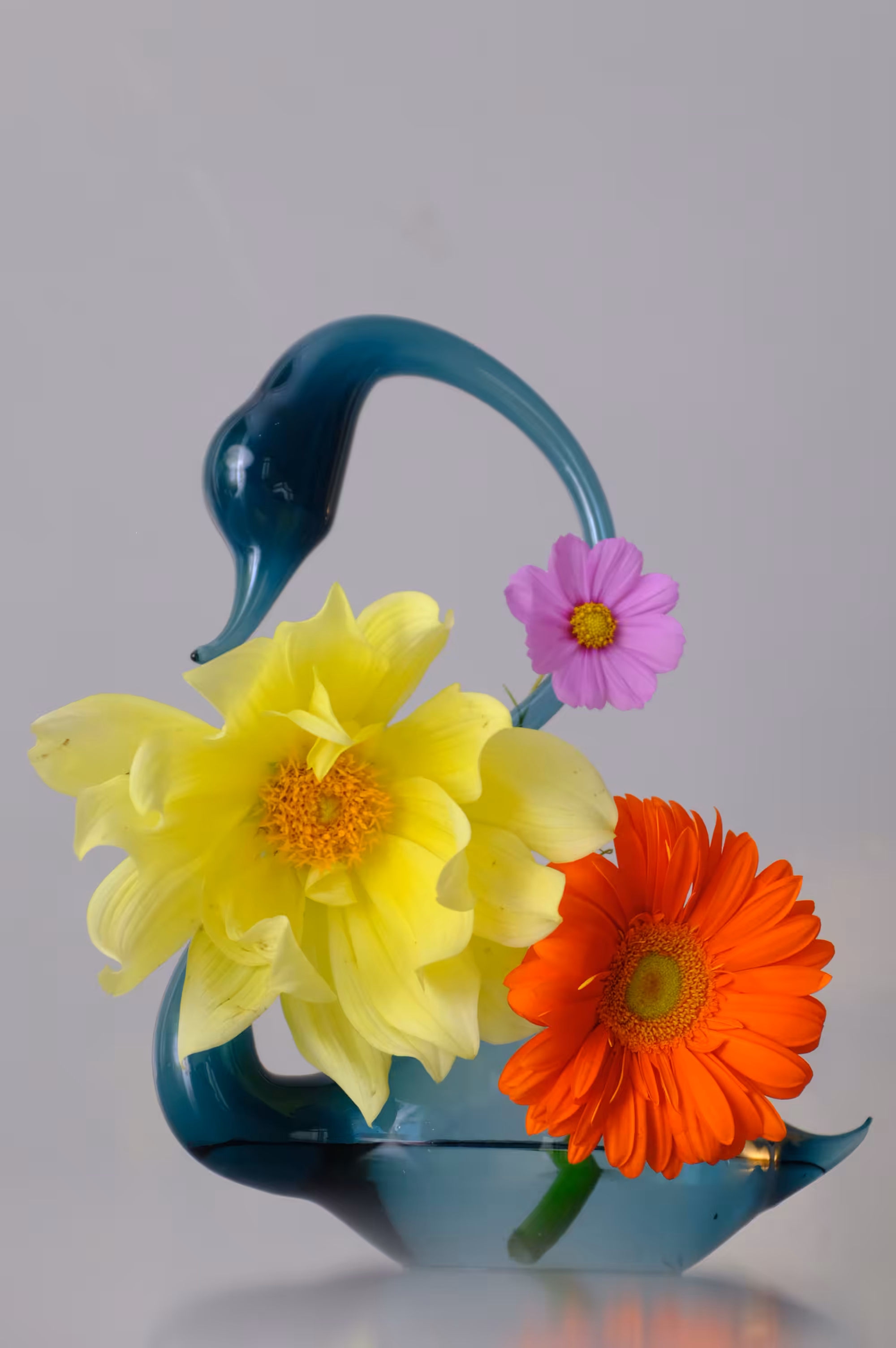 Still Life #8
