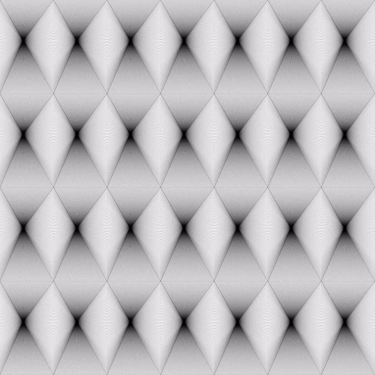 Noir et Blanc #38