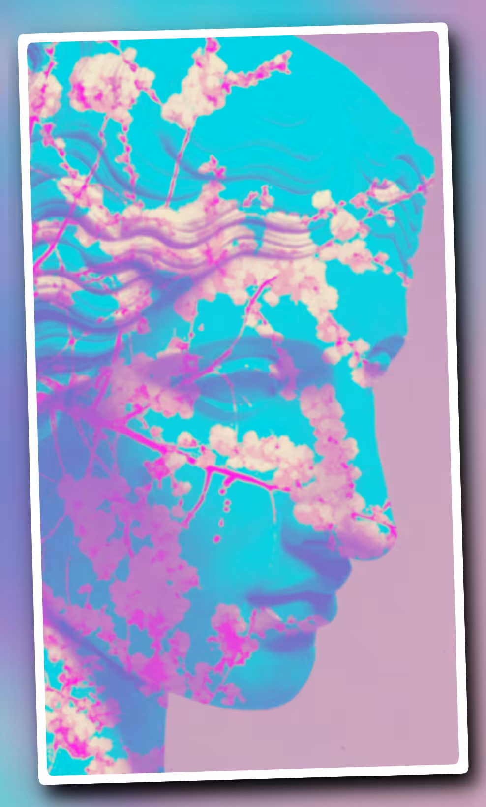 Overstock Shoppe: ｏｕｒ　ｌａｄｙ　ｏｆ　ｔｈｅ　ｄｉｖｉｎｅ　ａｅｓｔｈｅｔｉｃ ░マリア様░