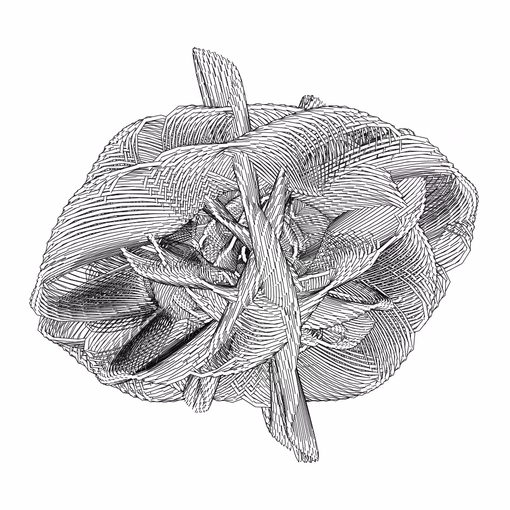 LL21 Entangled (3) #85