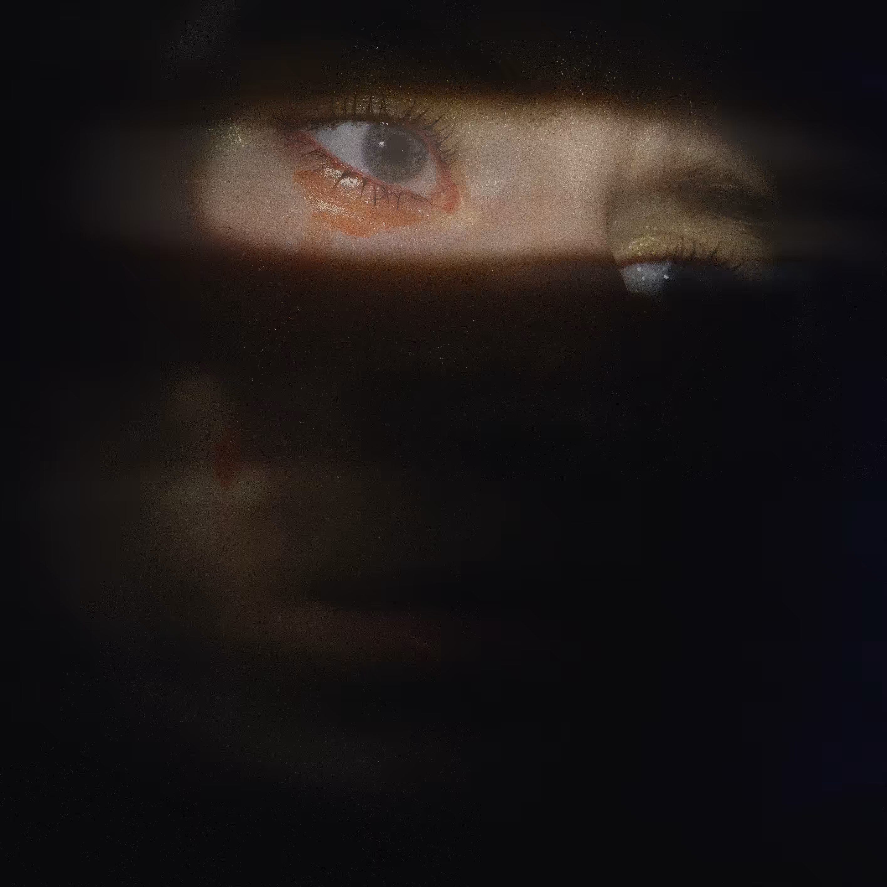 shroud #5
