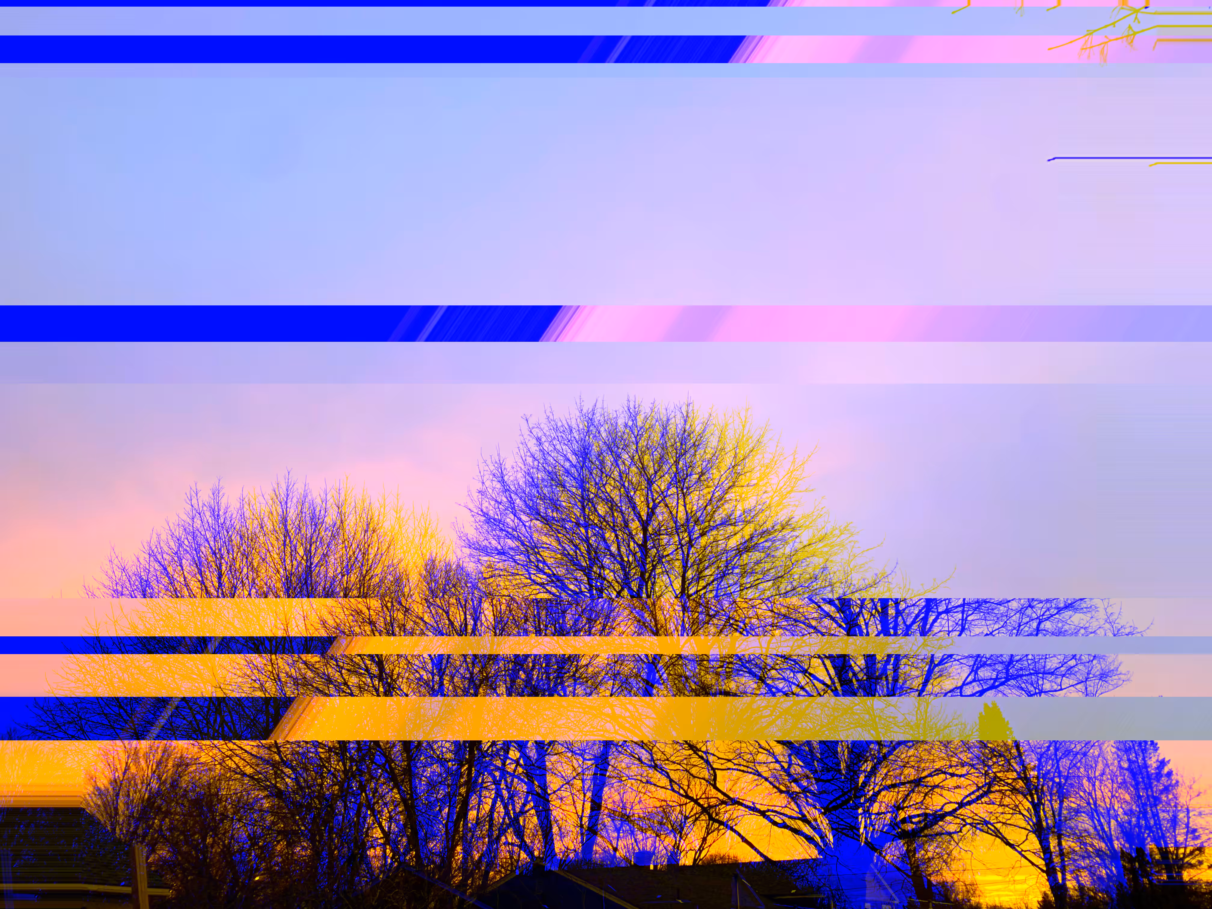 trees