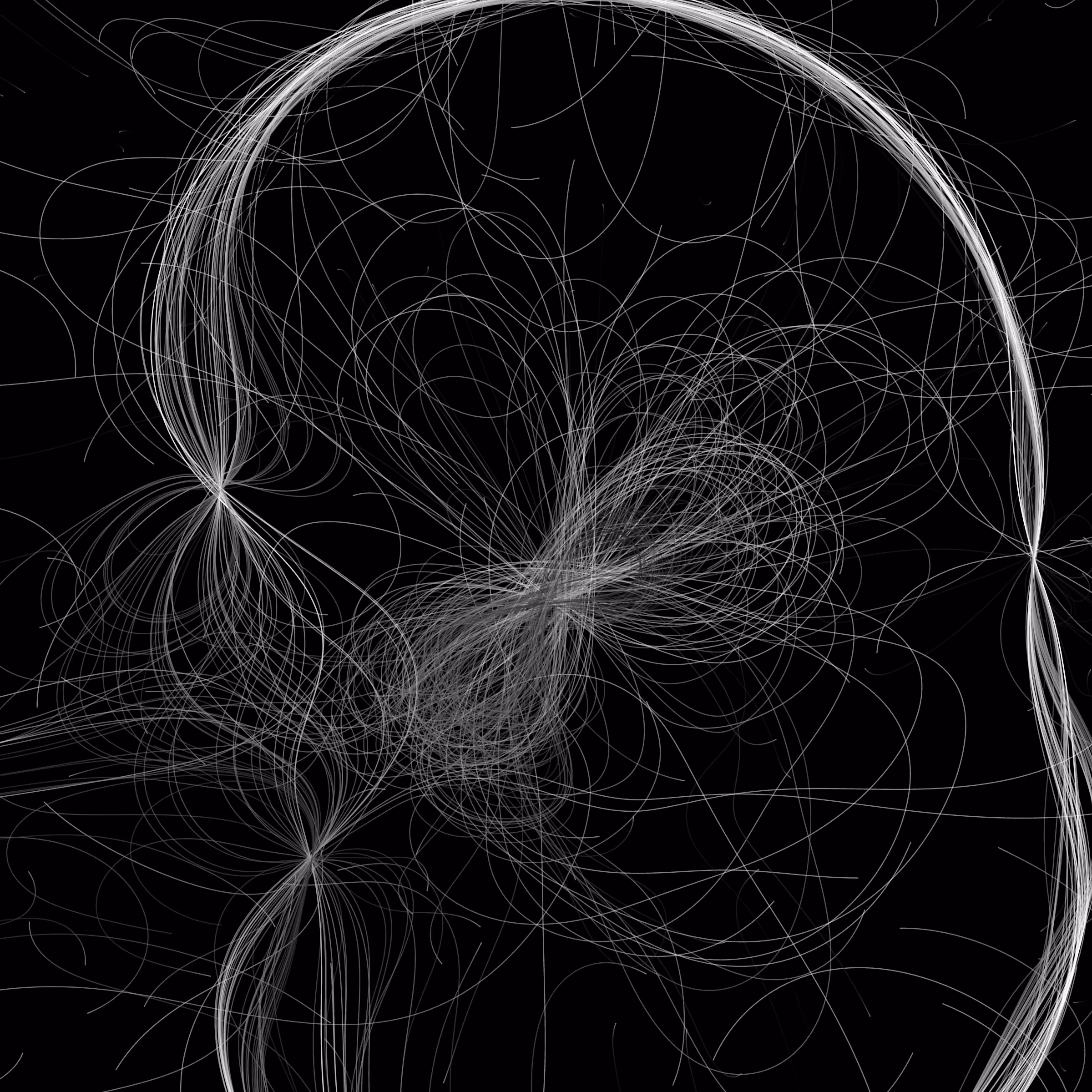 Phototaxis #469