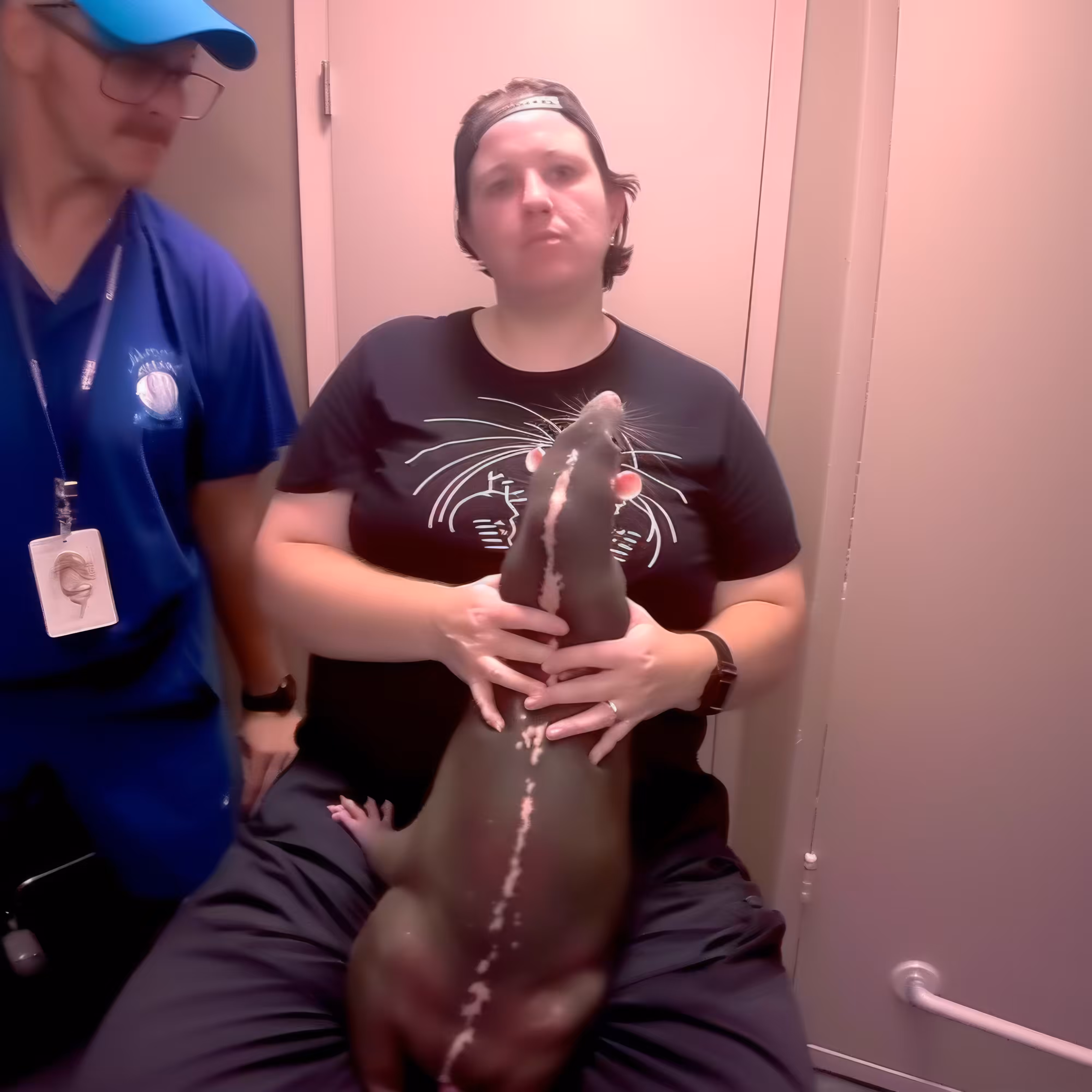 BAD JPEGs: Backstage-Ratbender