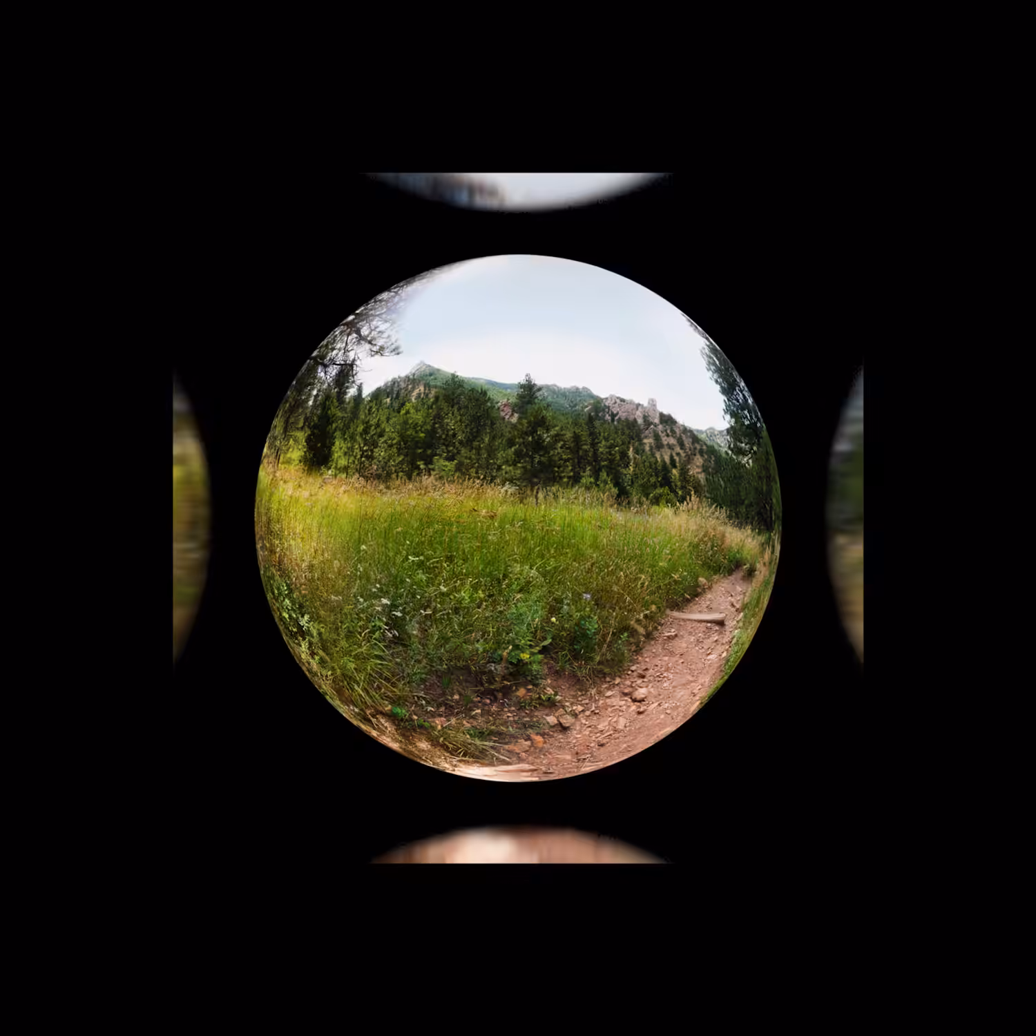 Reflectionz #7