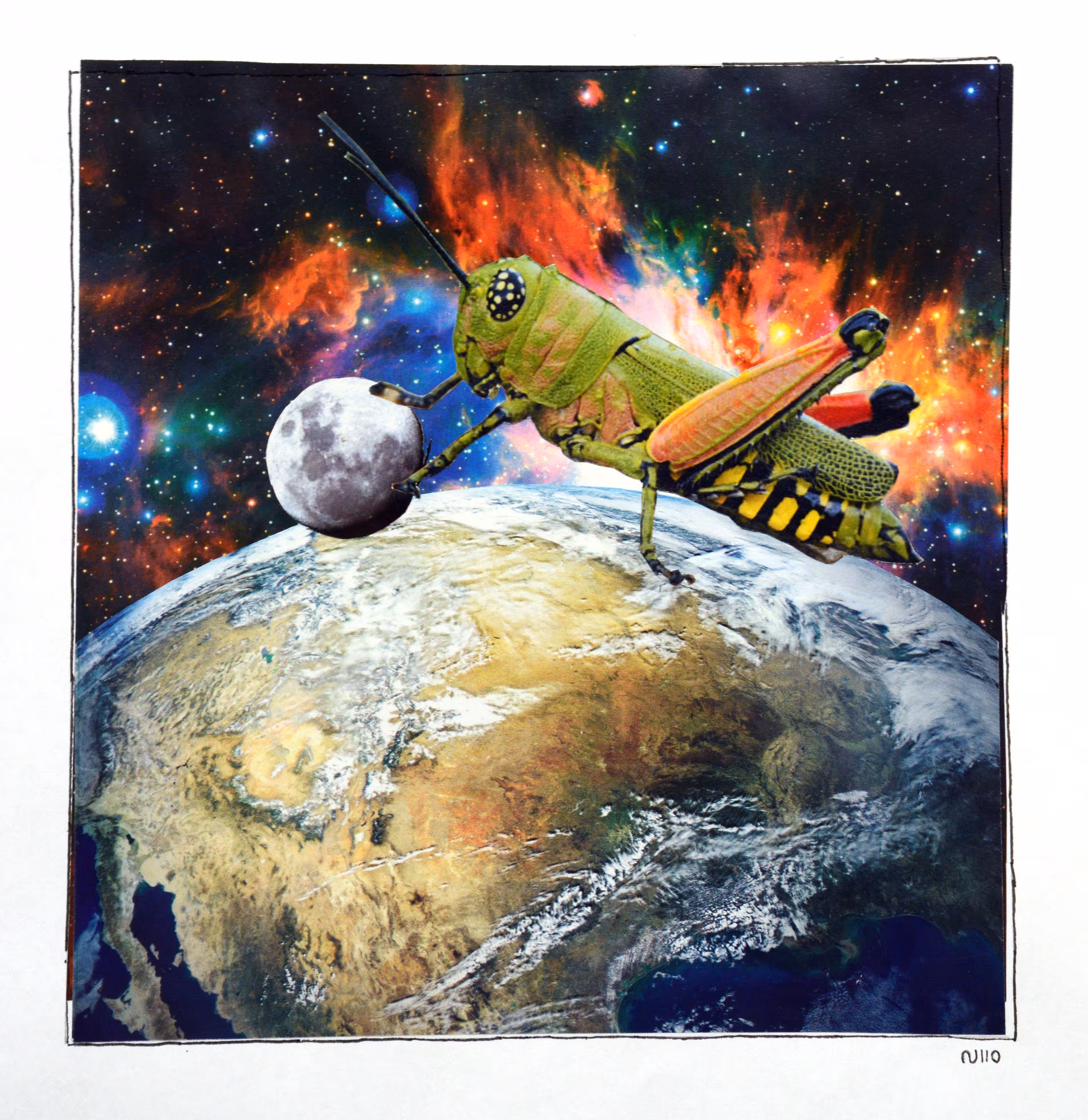 space grasshopper