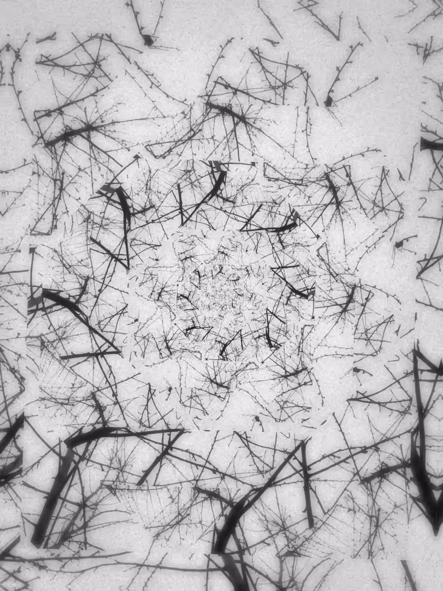 Entanglement