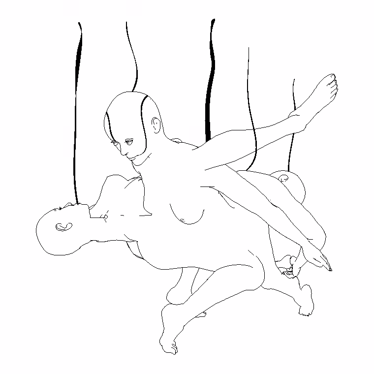 Bodies