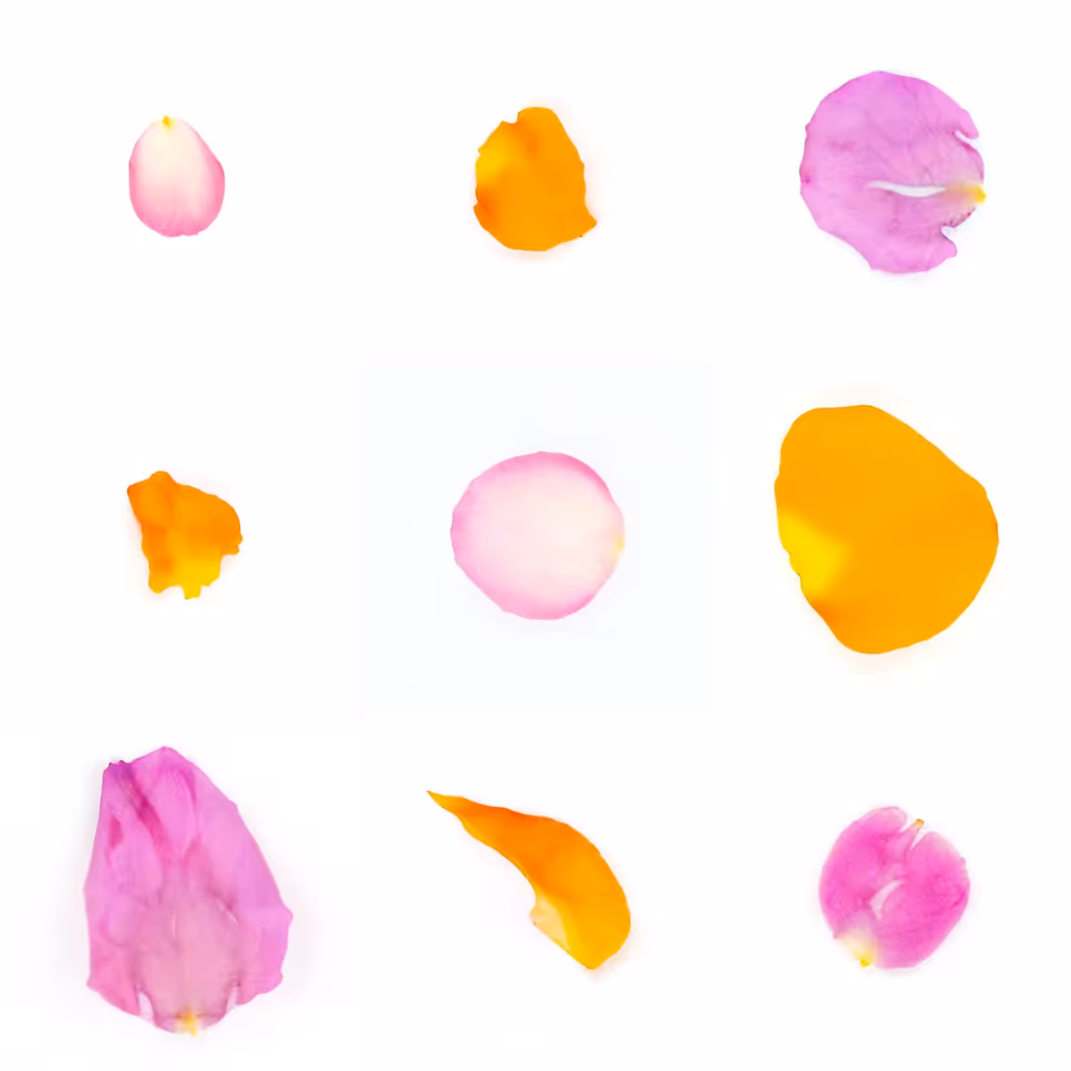 Infinite Petals 3x3#3098