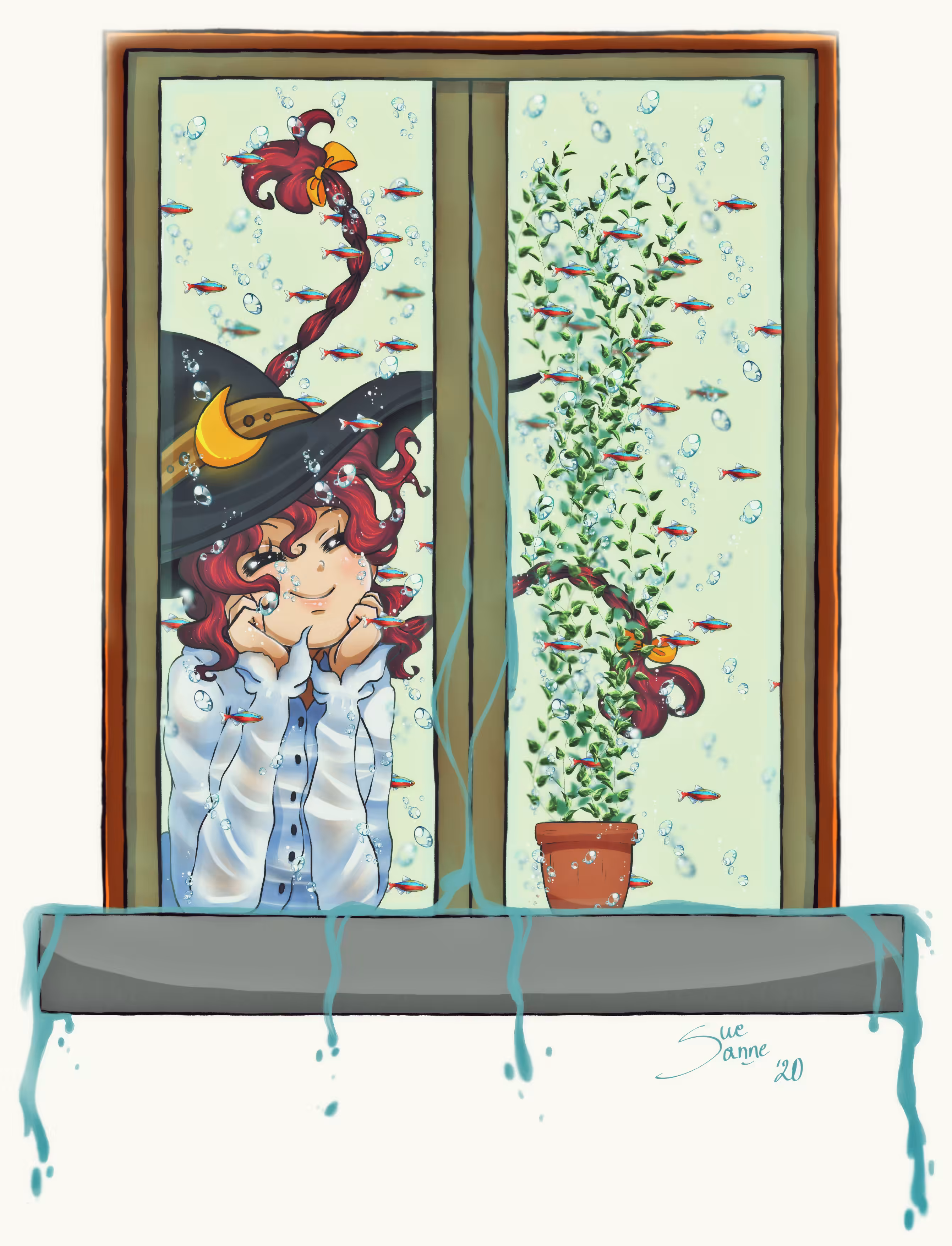 Window