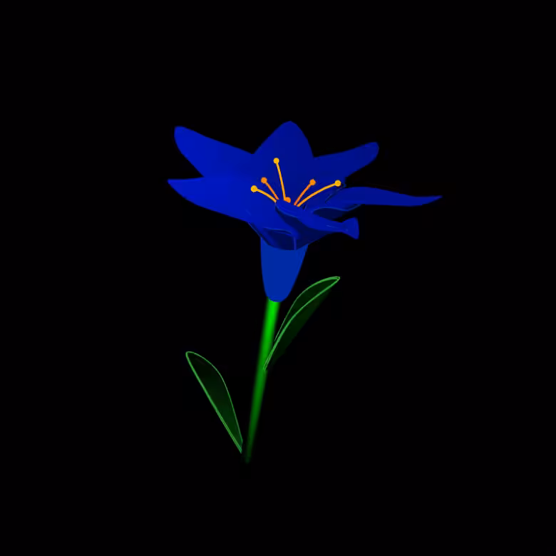 lily #2