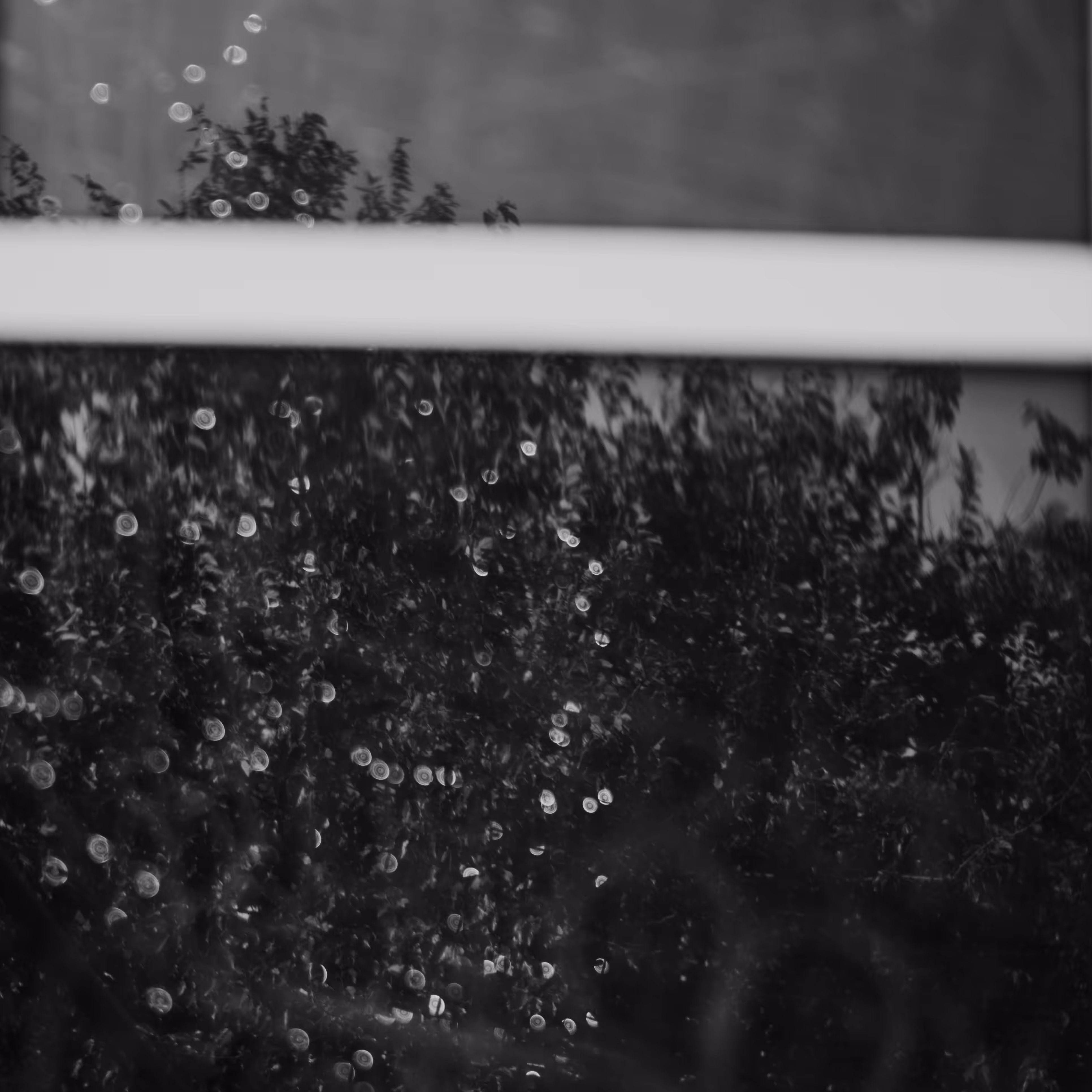 Dew