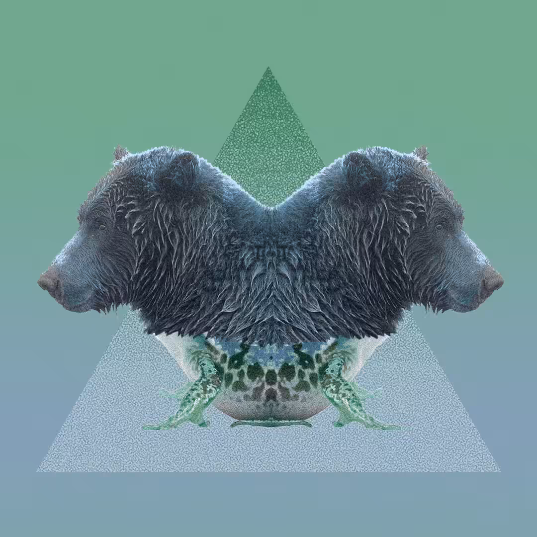 Bearfrog