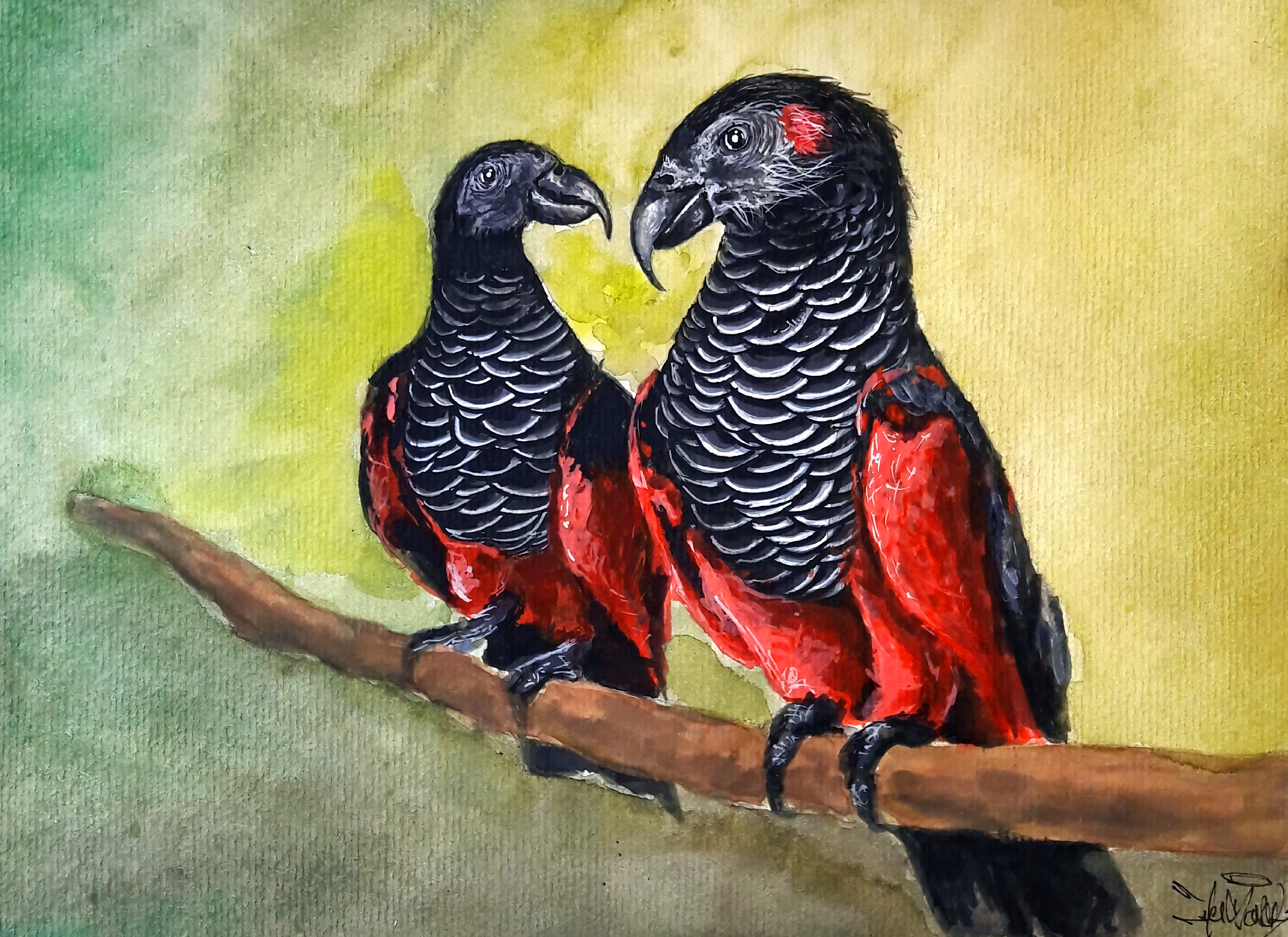 Dracula Parrots