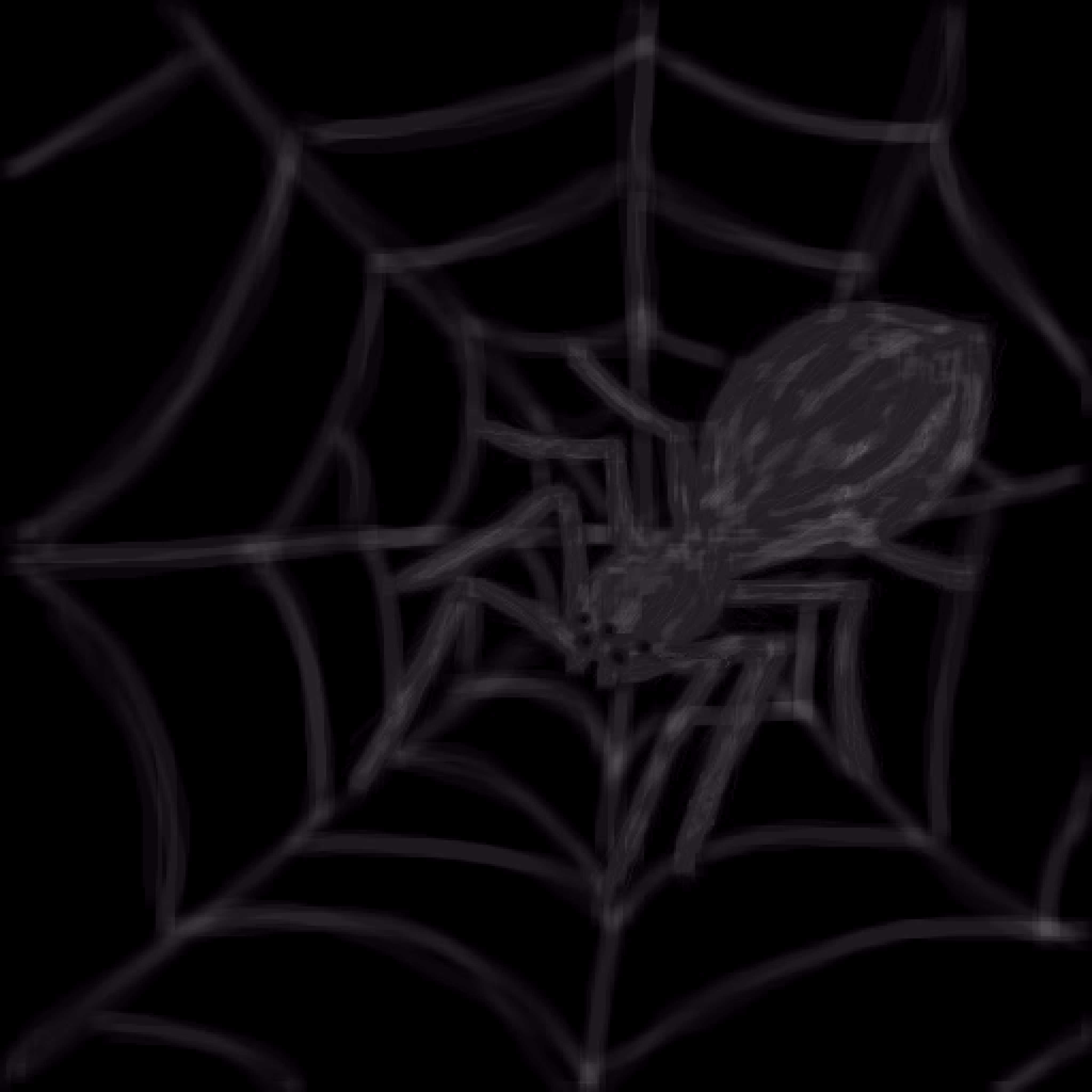 Spider 🕷️ 