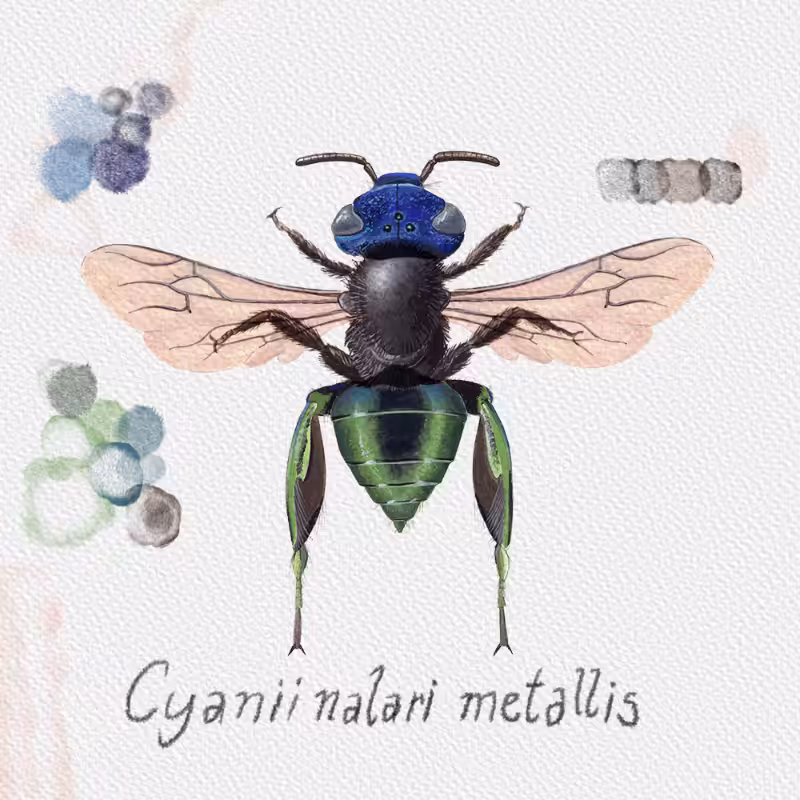 Randomic Brazilian Bees  #66