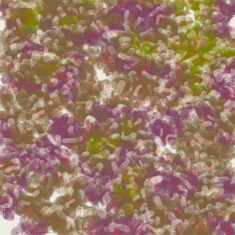 Petri 1500 #1236