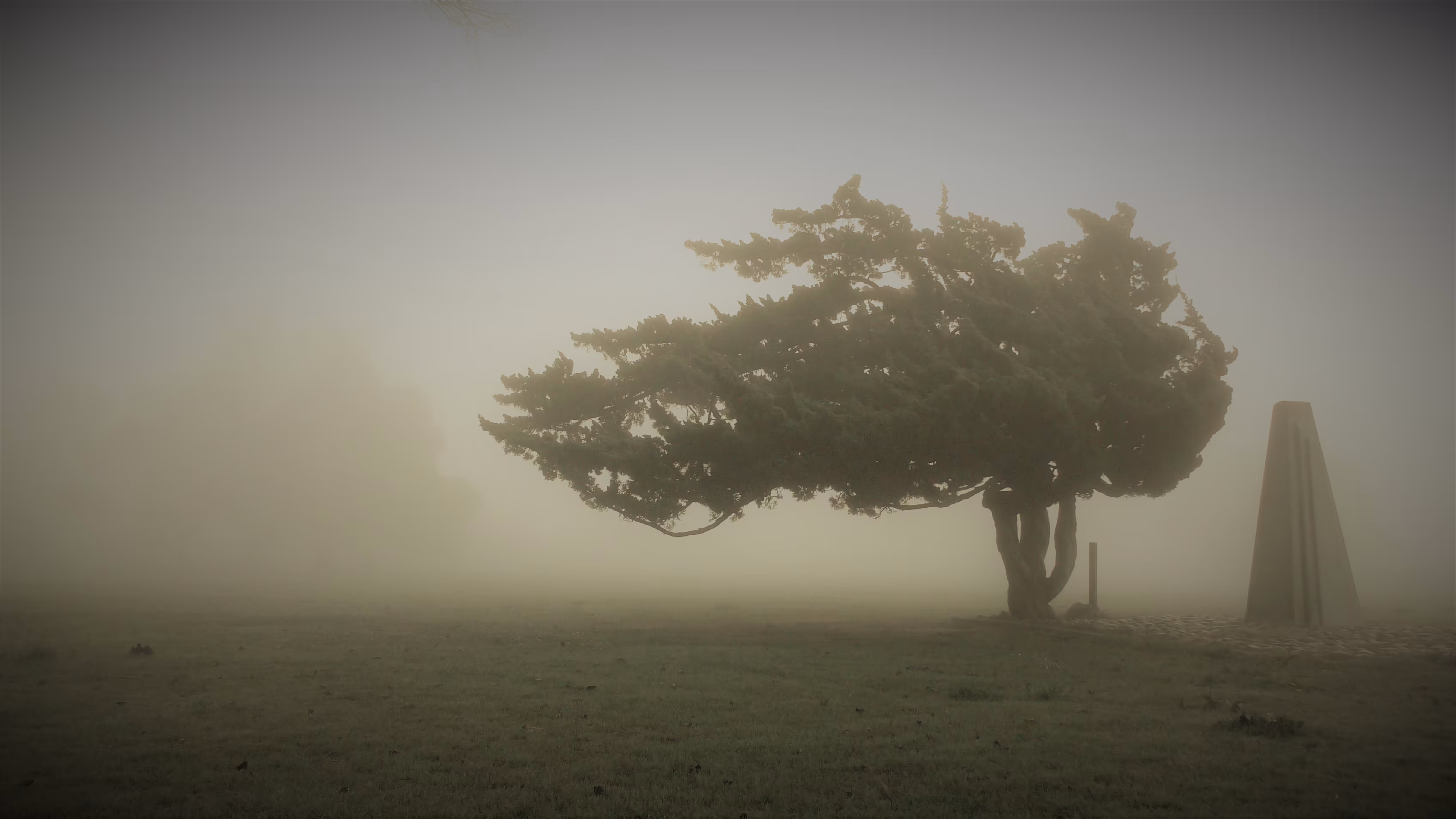 Foggy Memories