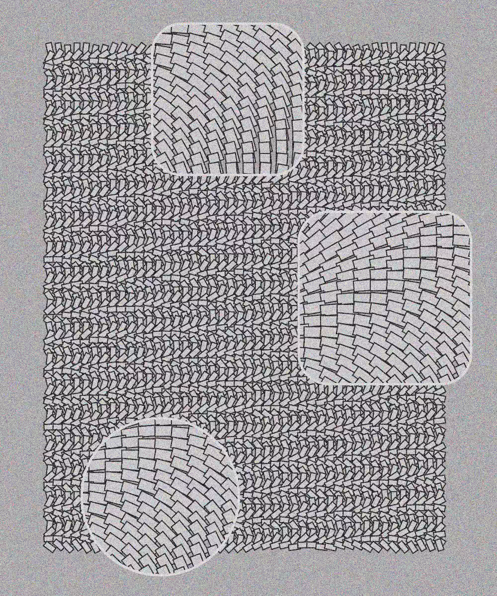 Plexus #13
