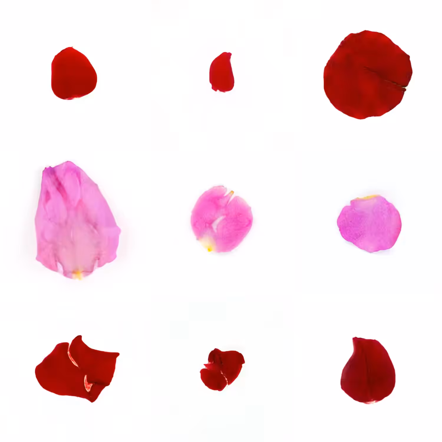 Infinite Petals 3x3#3213
