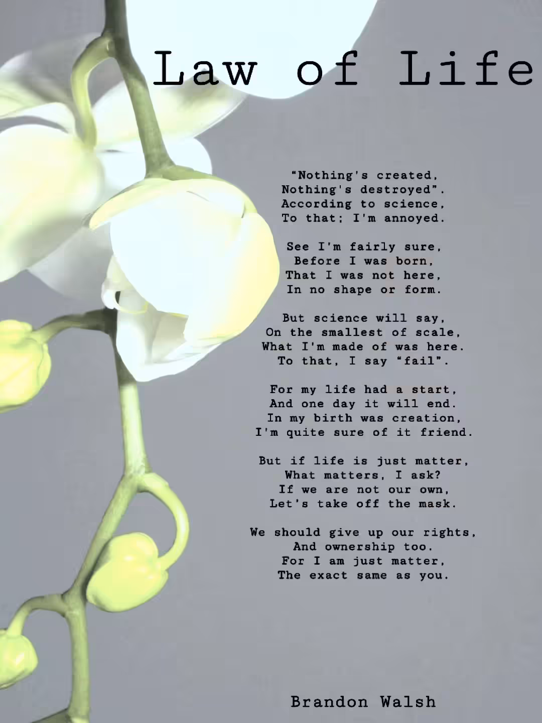 Law of Life