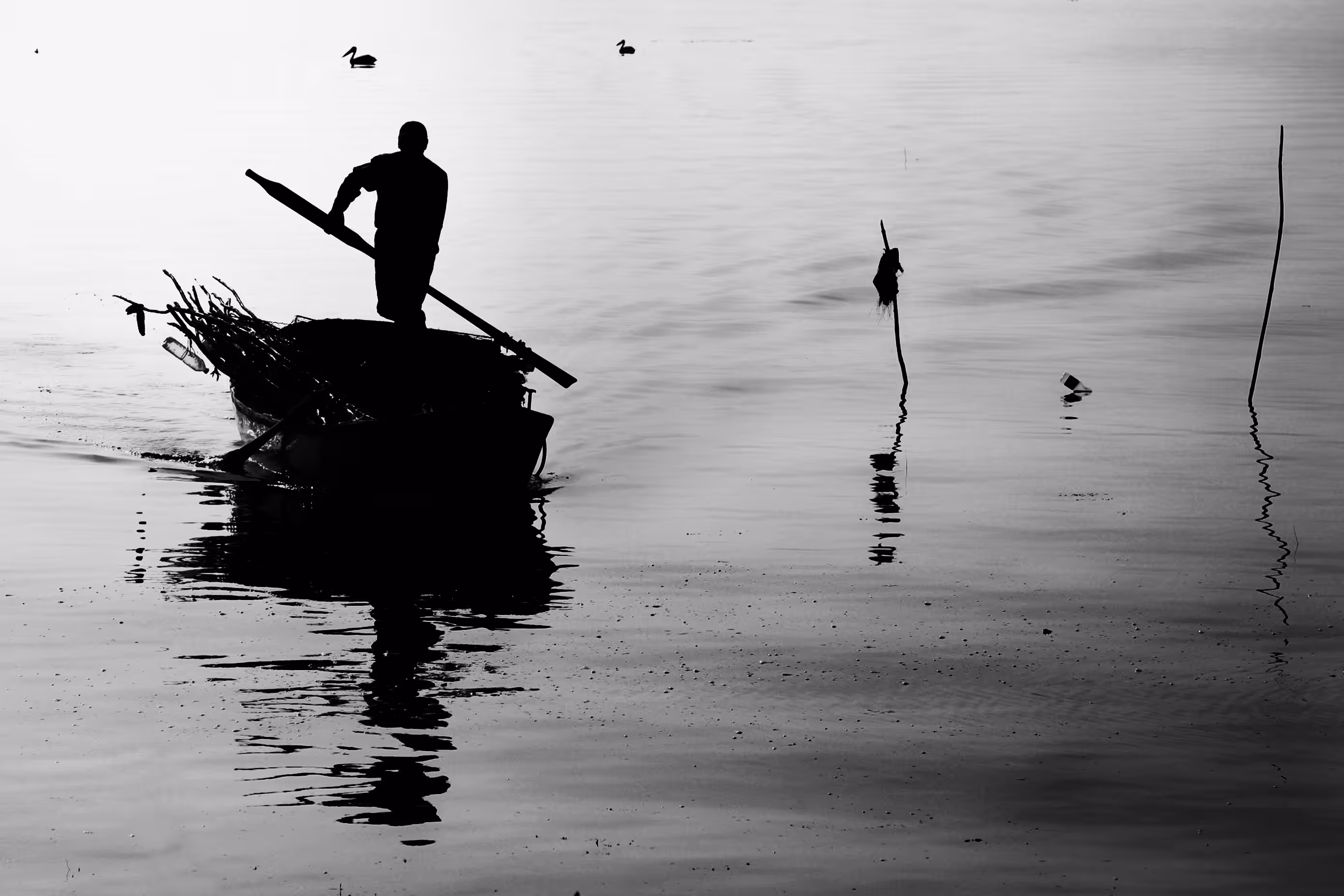 Open Editions: Silhouette on the lake
