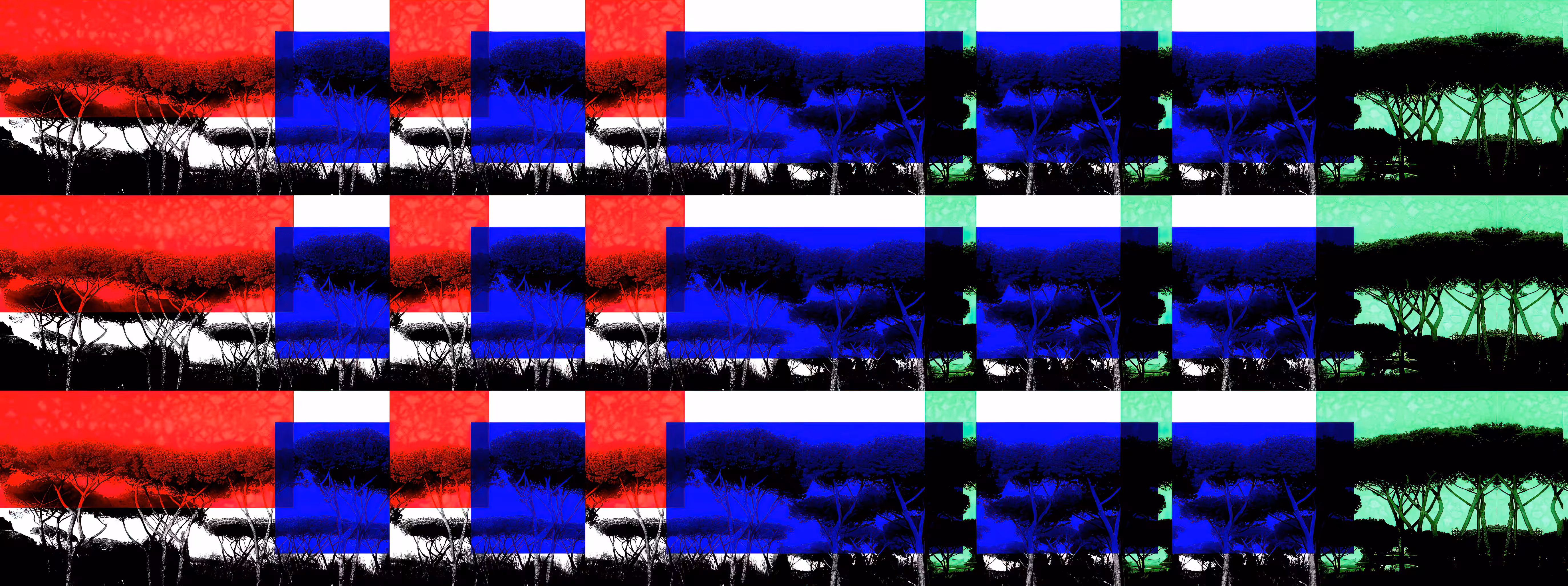 Forest I