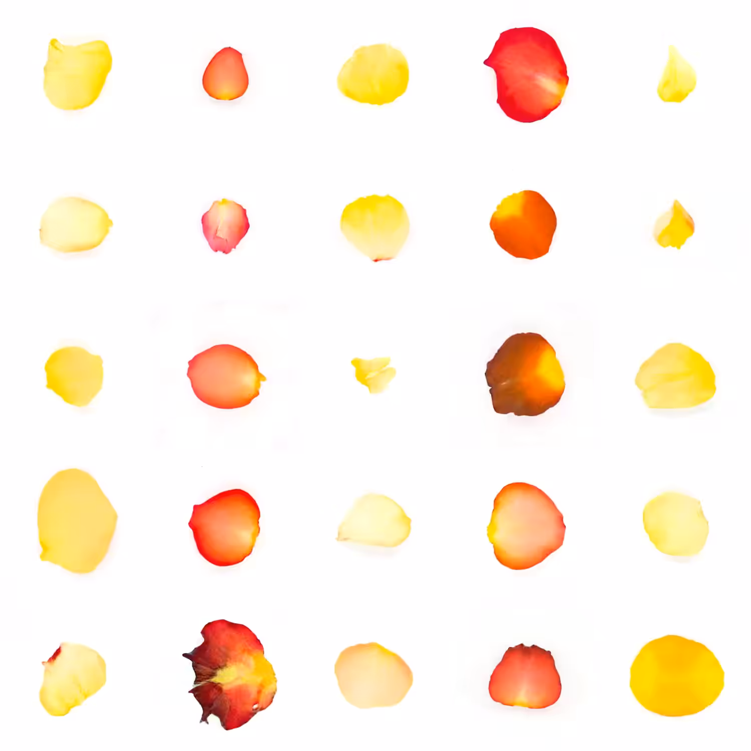 Infinite Petals 5x5#20039