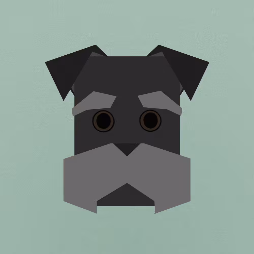 doggos - schnauzer