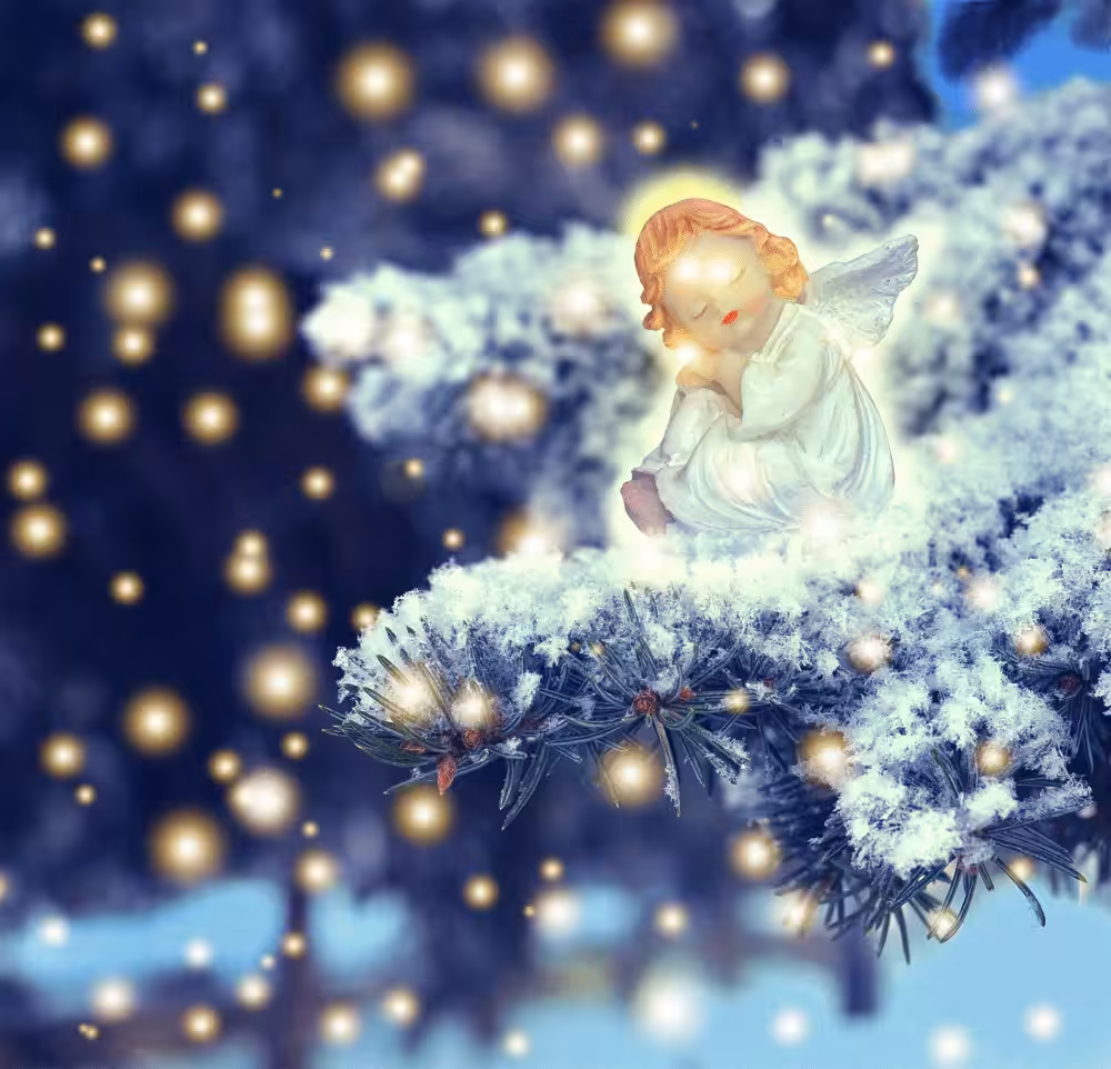 Sleeping Angel