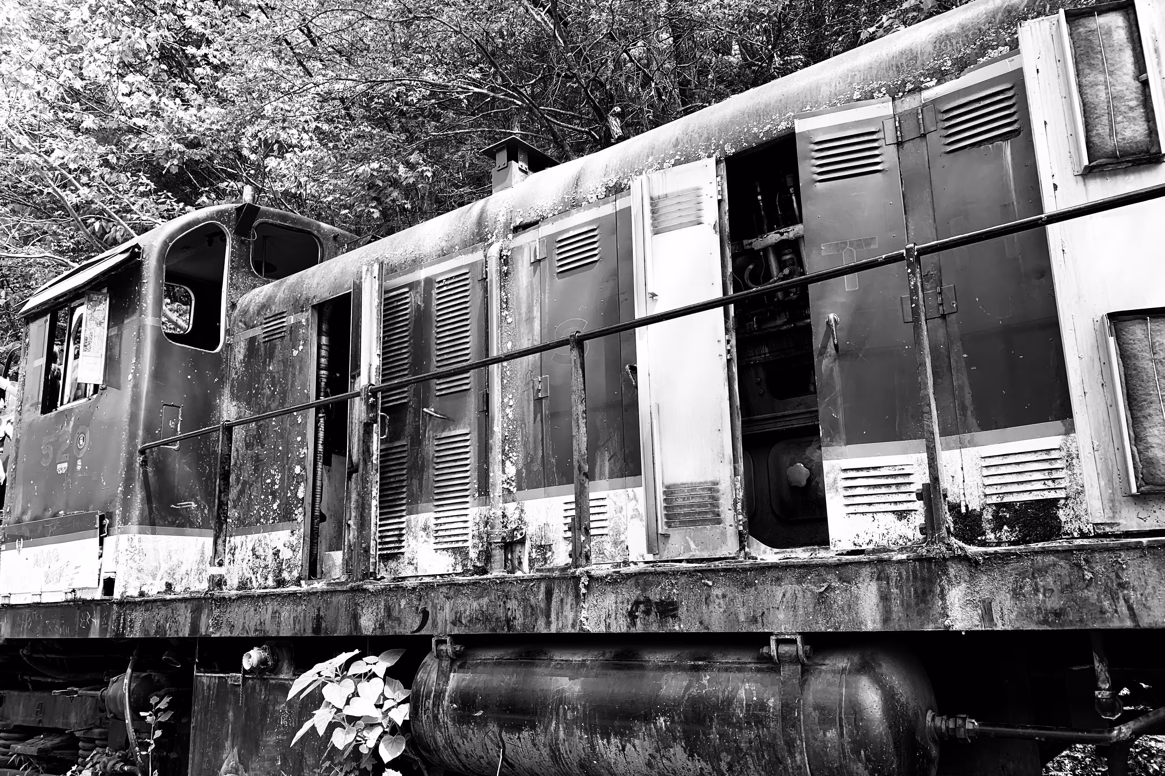 “New River Scenic Railway 10”