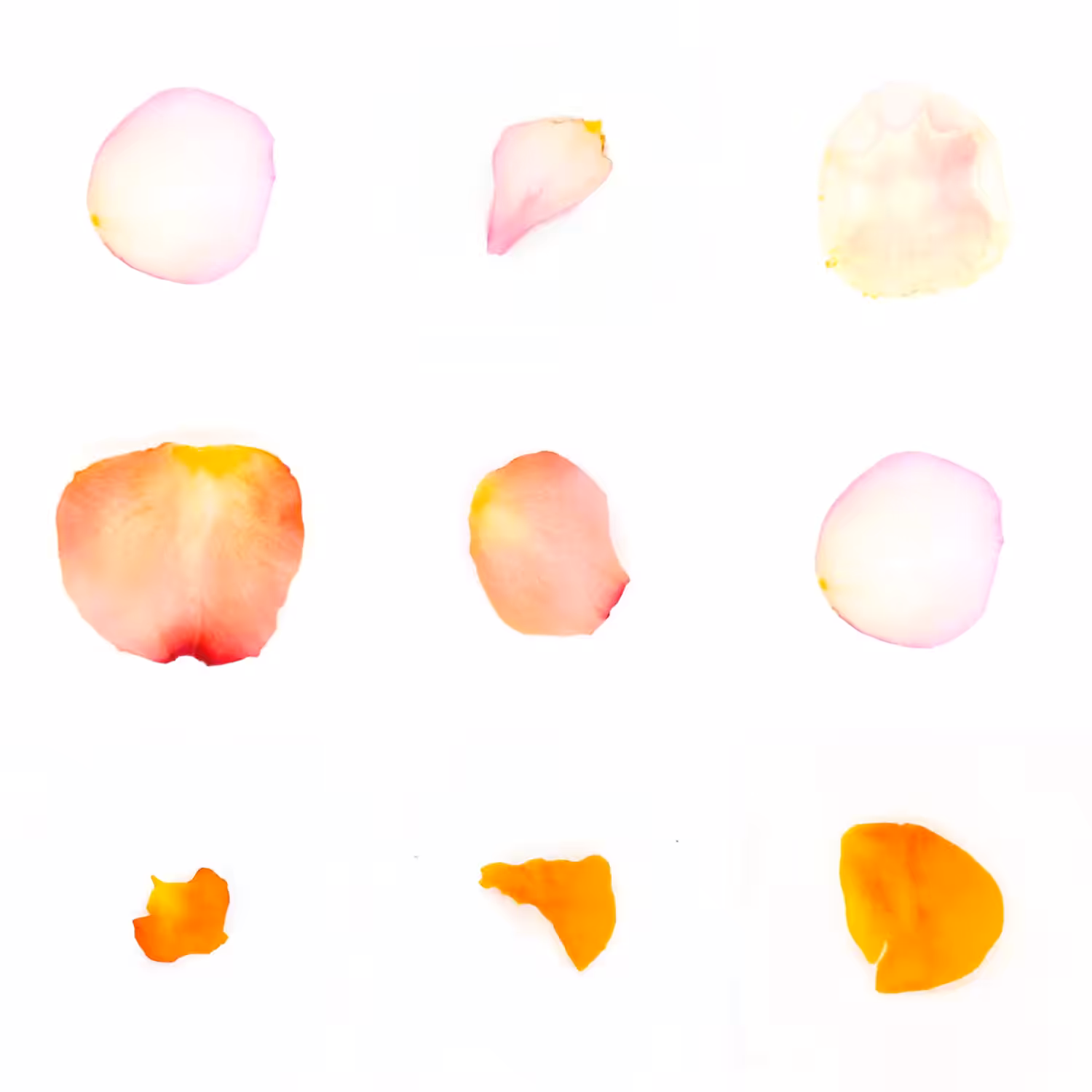Infinite Petals 3x3#3167