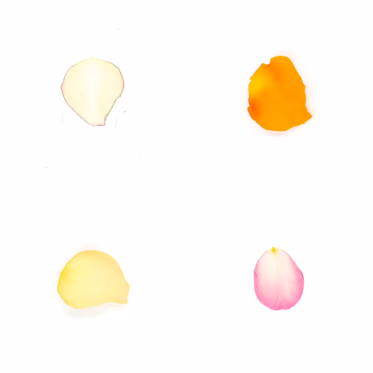 Infinite Petals 2x2#4143