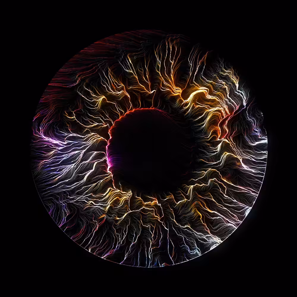IRIS CONTACT