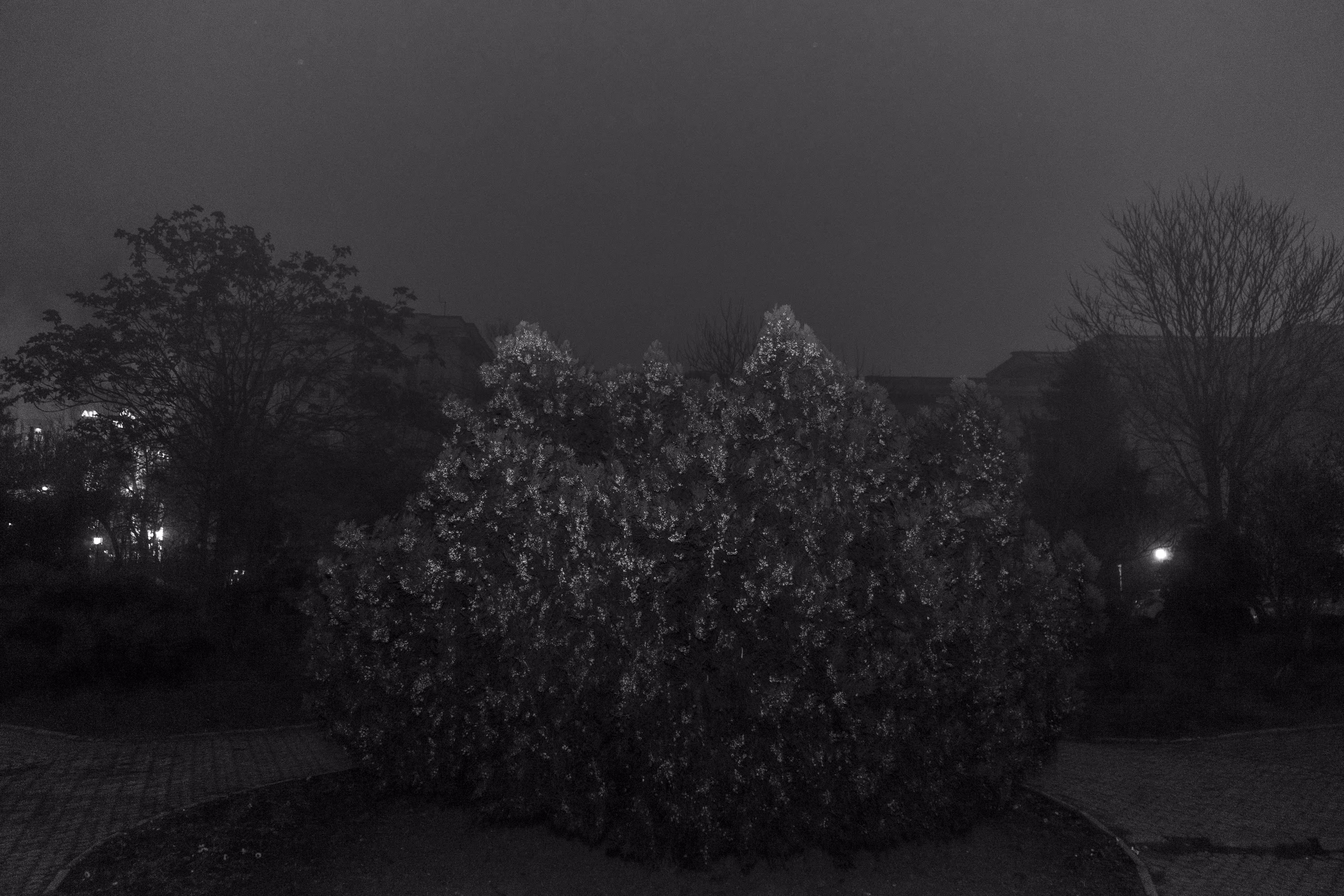 midnight in a perfect world #13