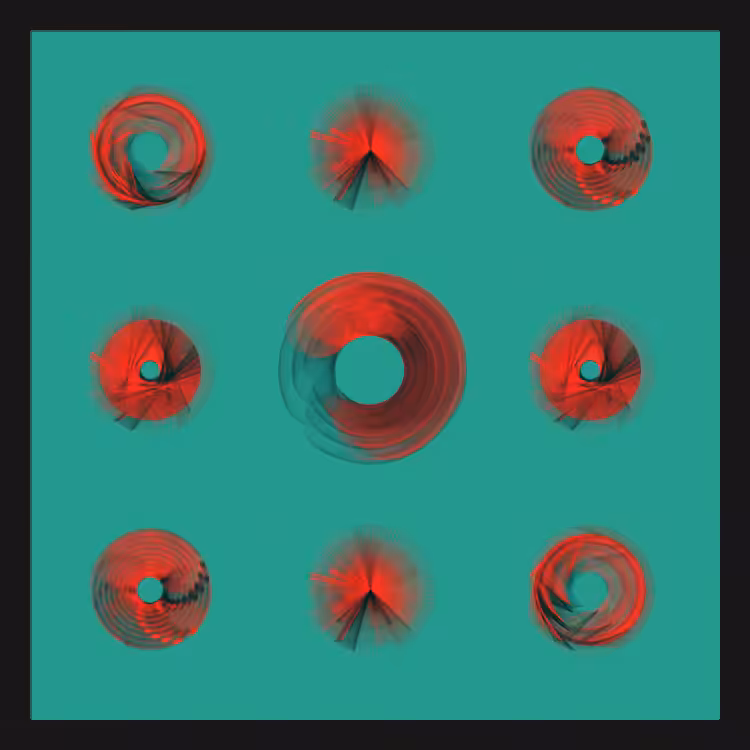 Spiny Spinners #16