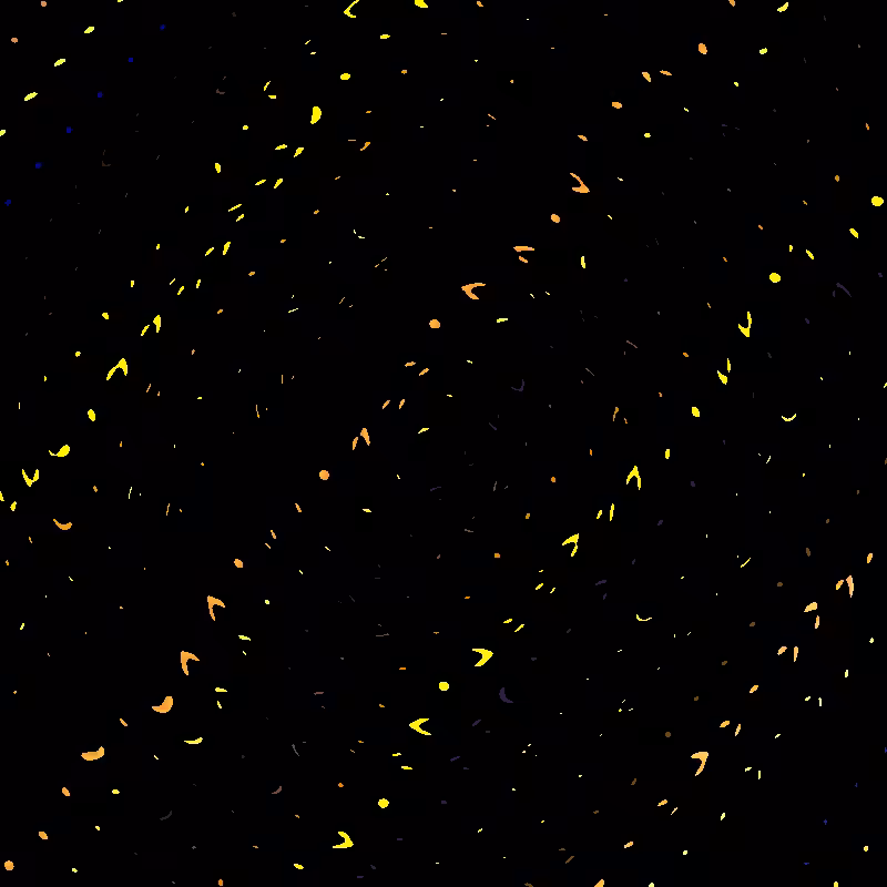 Warp #16