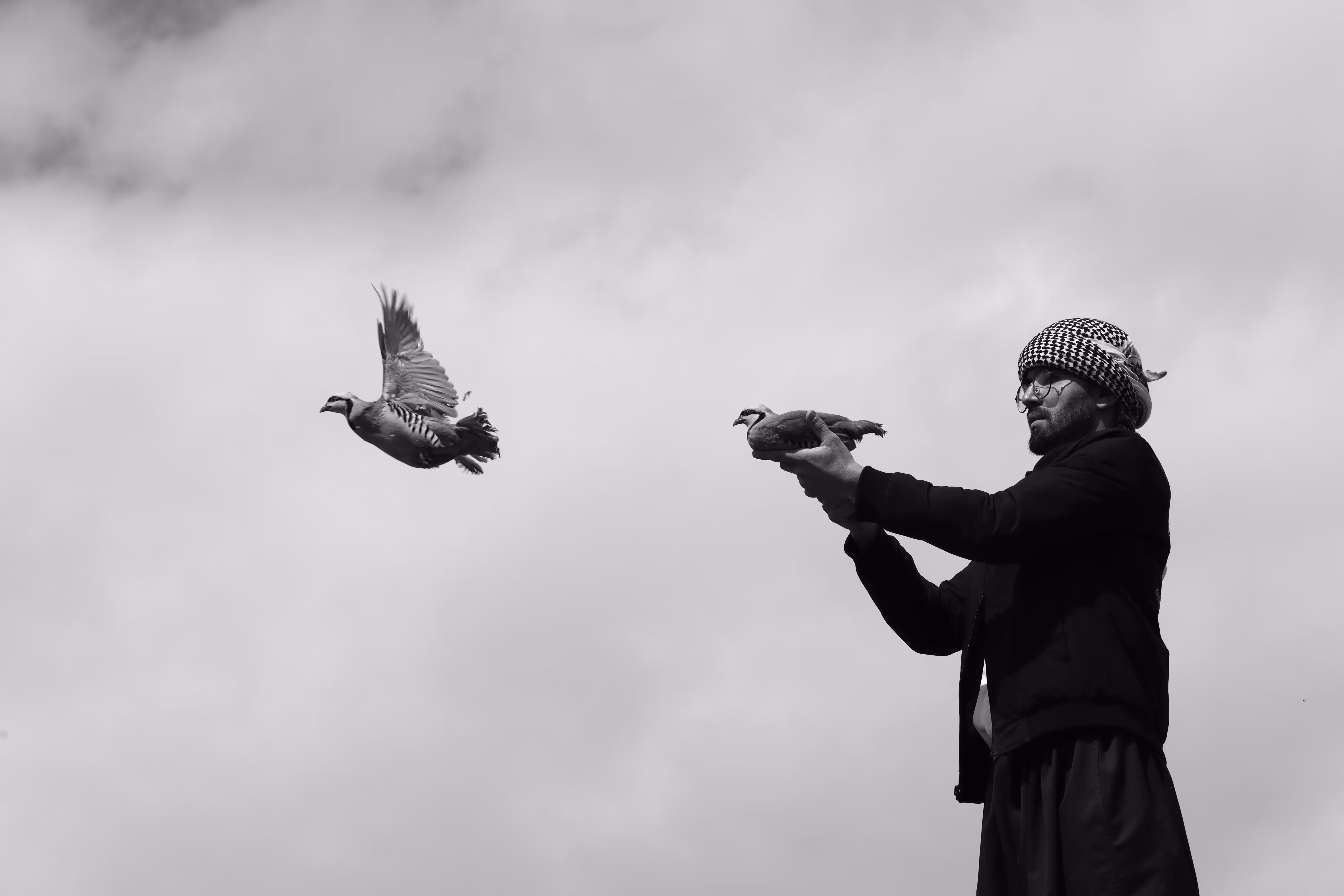 Freedom