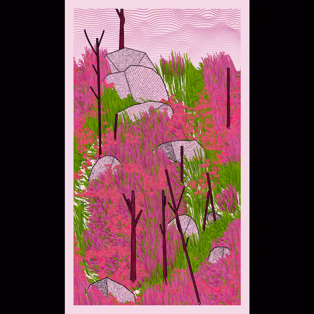Bagh #20