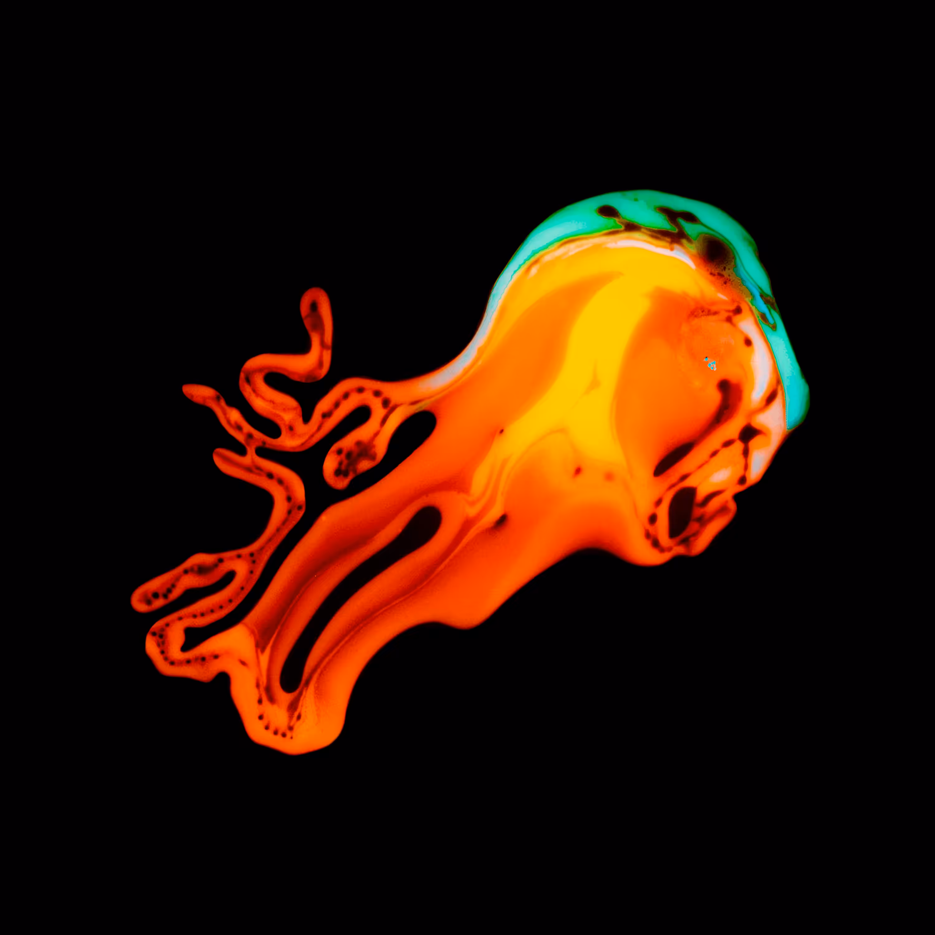 Haematopoiesis #155