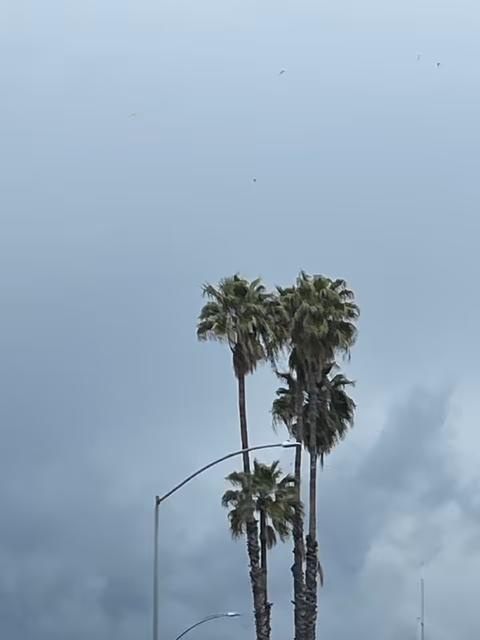 A Love Letter to Los Angeles, 2011–2023
