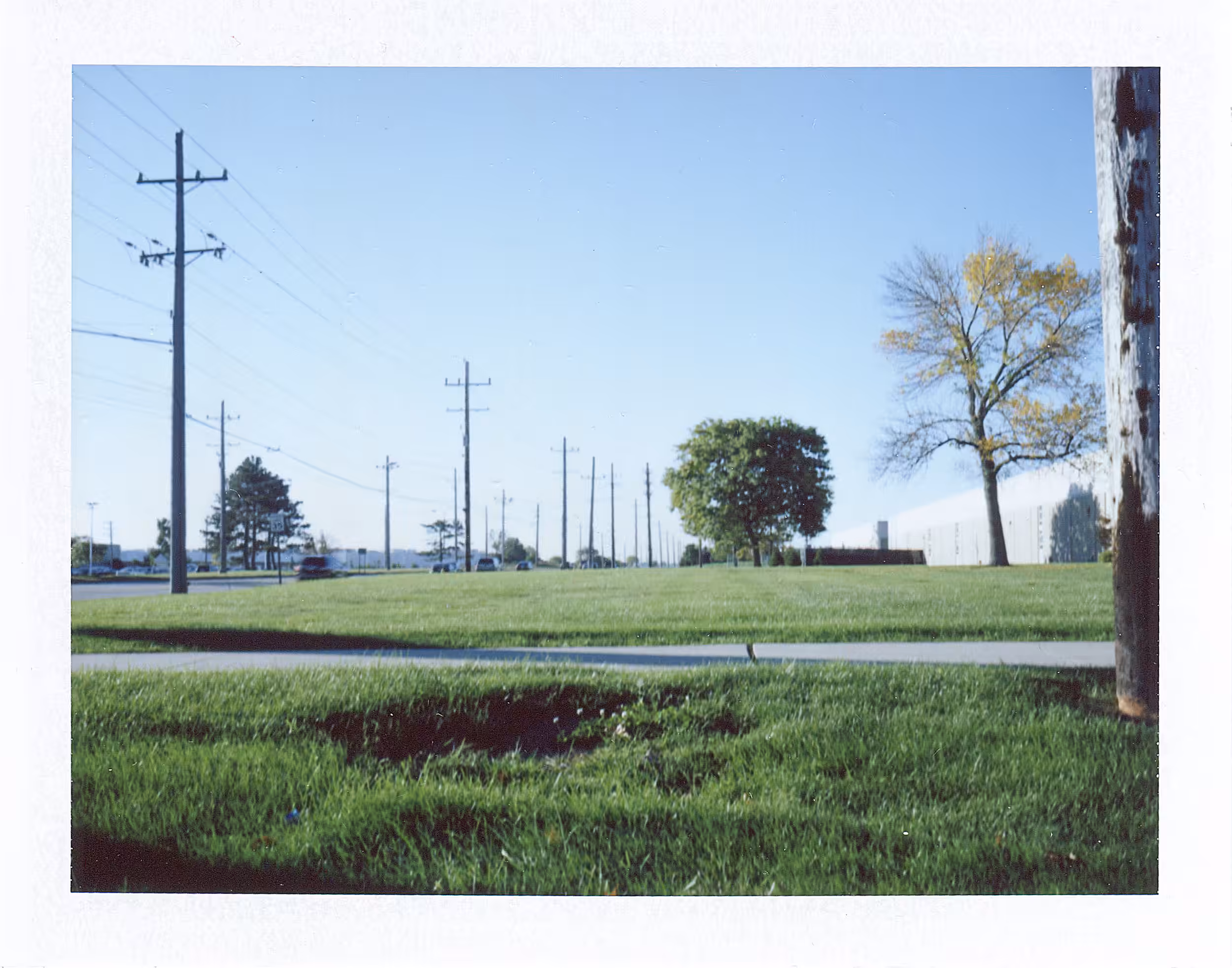 Grass and Sky