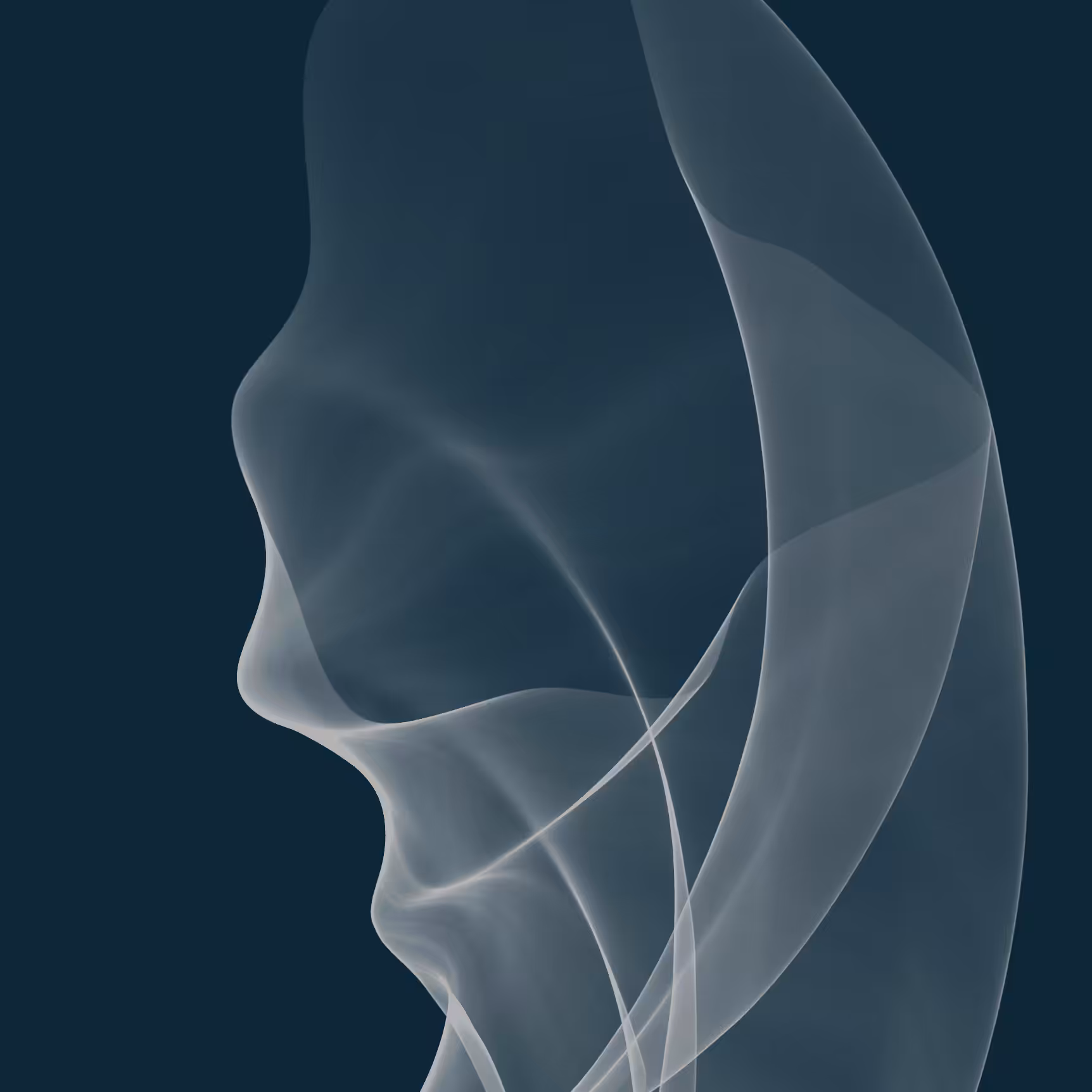 Silken — The Seashell