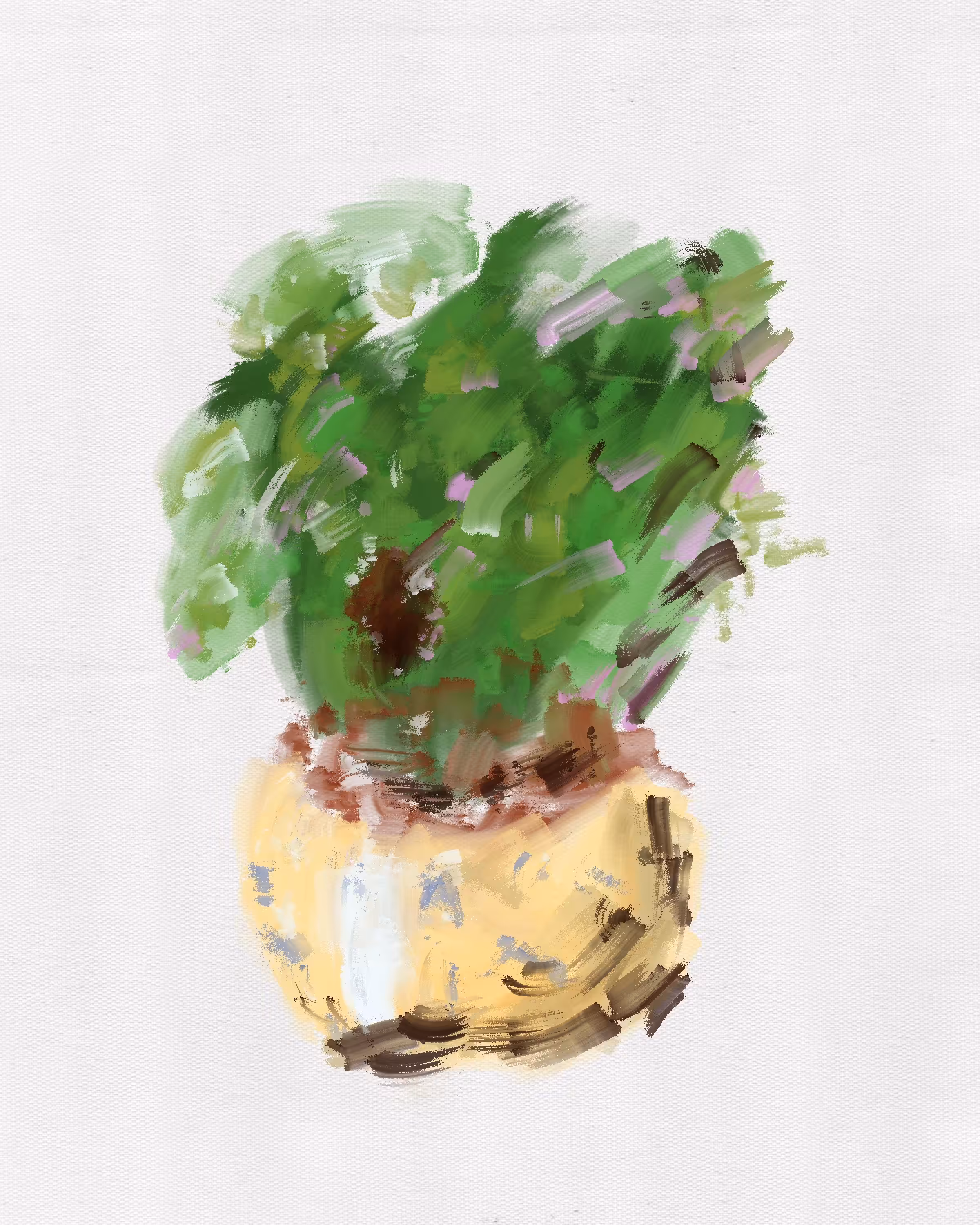 HOUSEPLANT